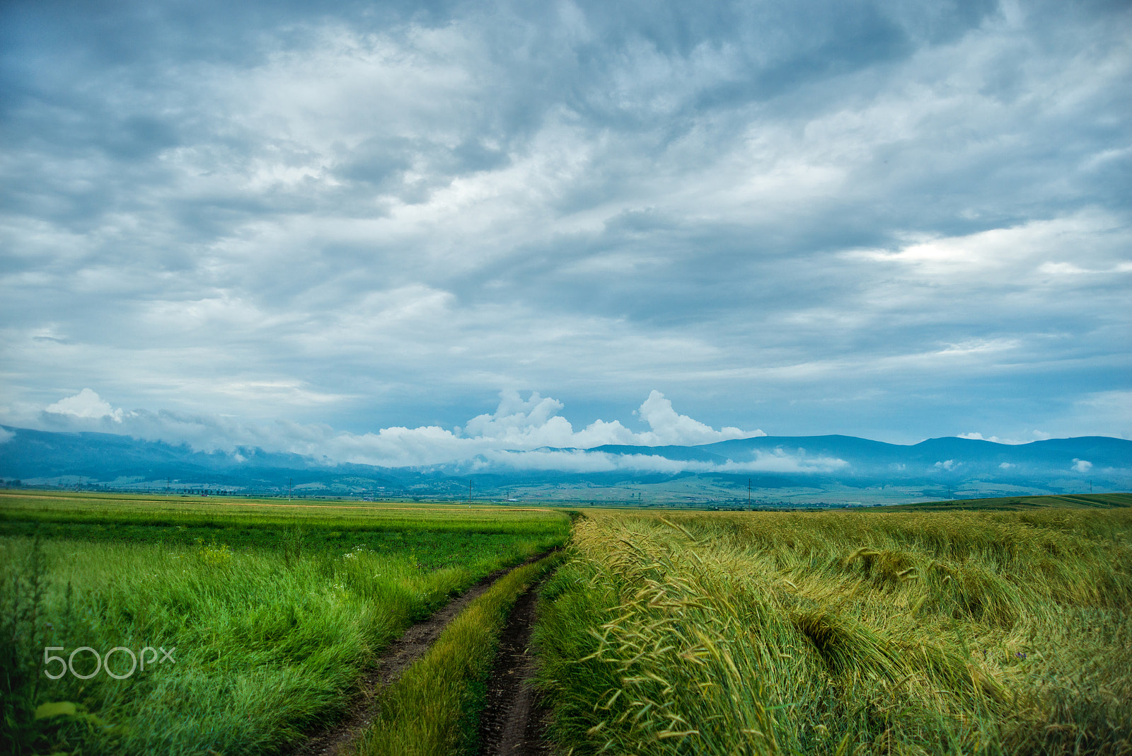 AF Zoom-Nikkor 28-100mm f/3.5-5.6G sample photo. Stormy weather photography