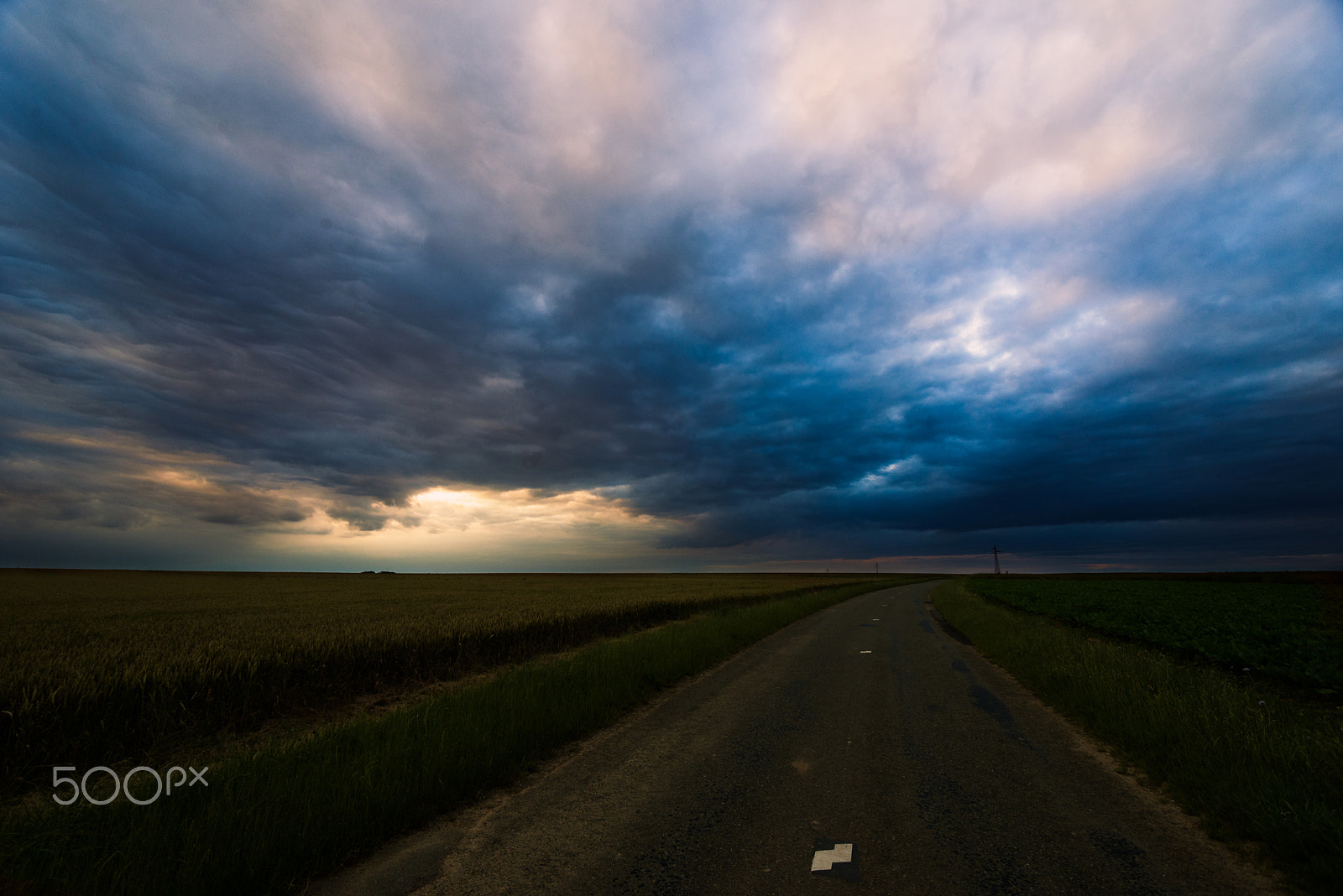 Nikon D600 sample photo. Go to home photography