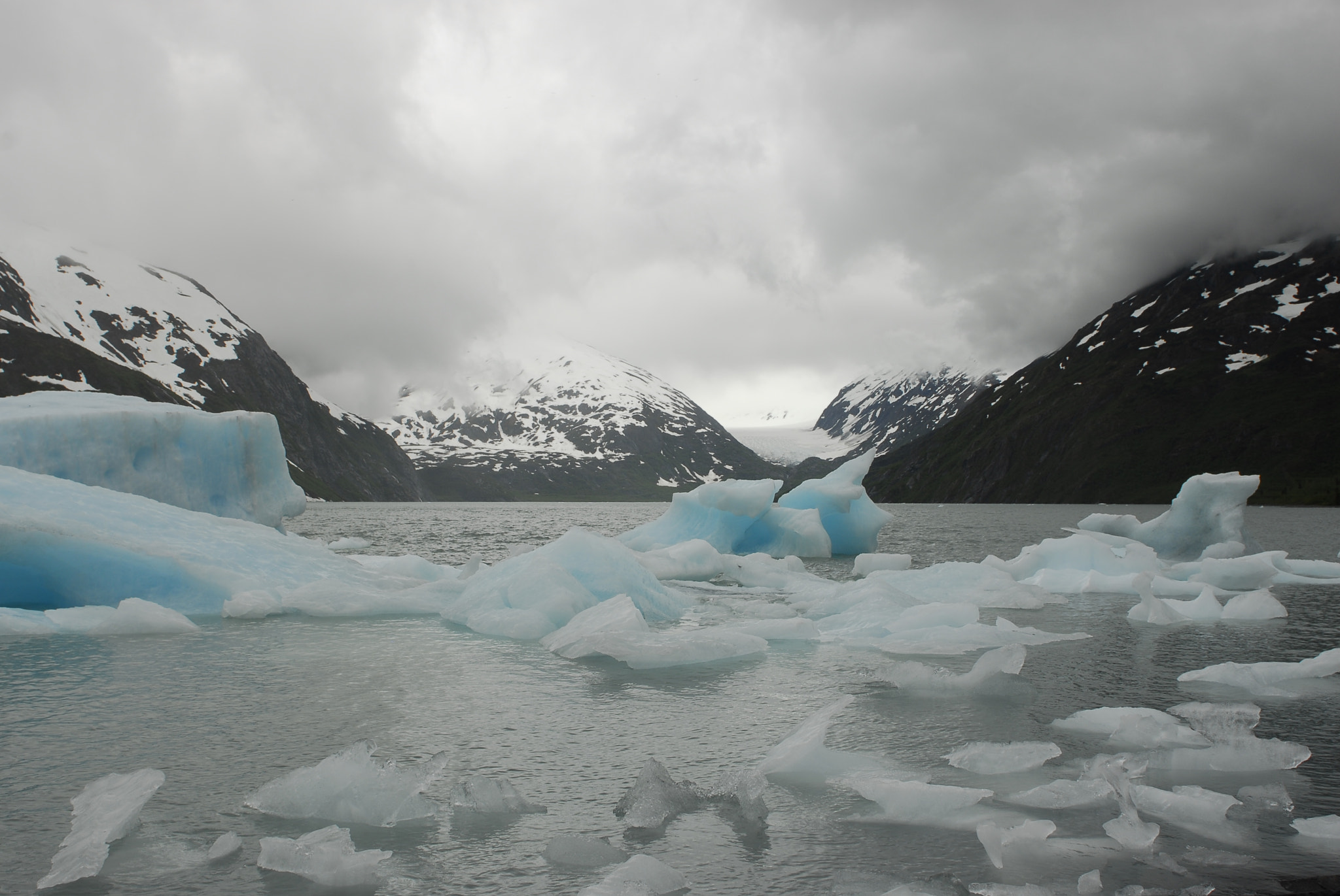 Nikon D200 sample photo. Icebergs in seward.jpg photography