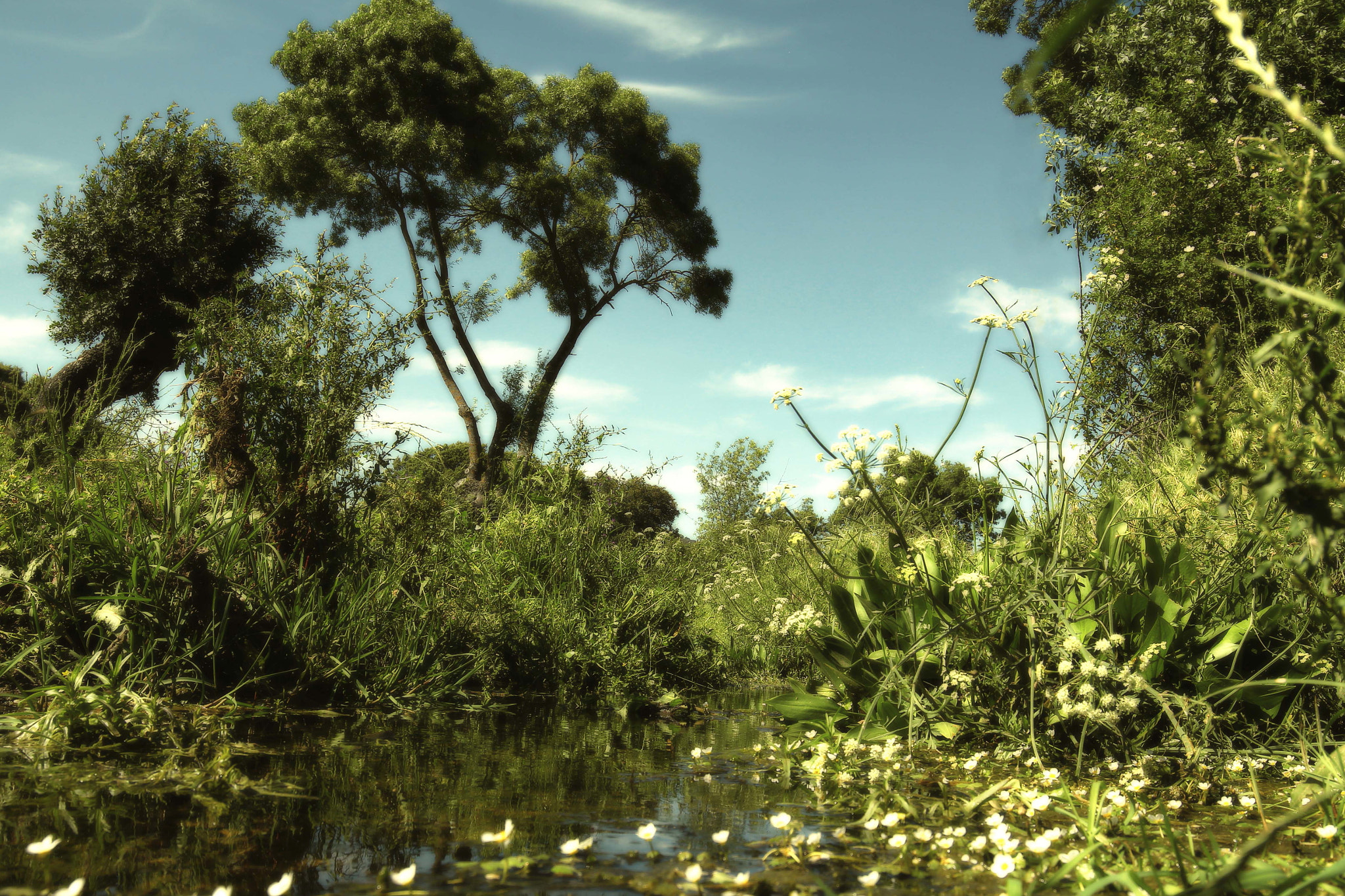 Canon EOS 60D + Canon EF 16-35mm F4L IS USM sample photo. Arroyo de la poveda 2 photography