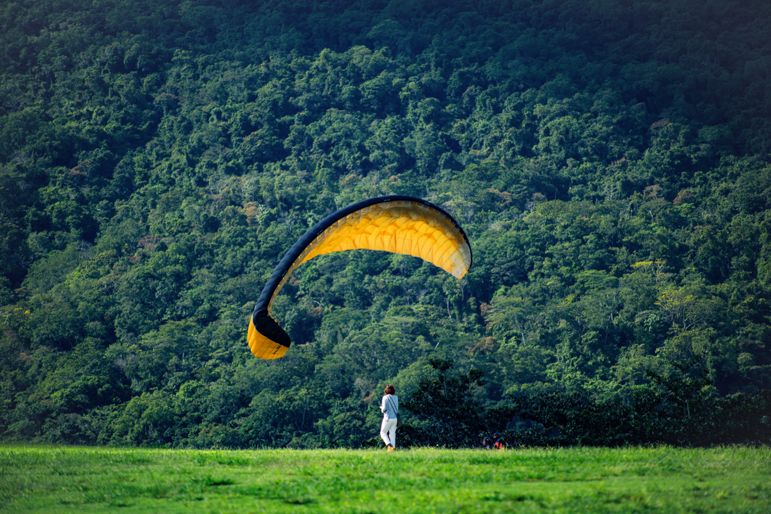 Nikon D800 + AF Nikkor 70-210mm f/4-5.6 sample photo. Beautiful paragliding photography