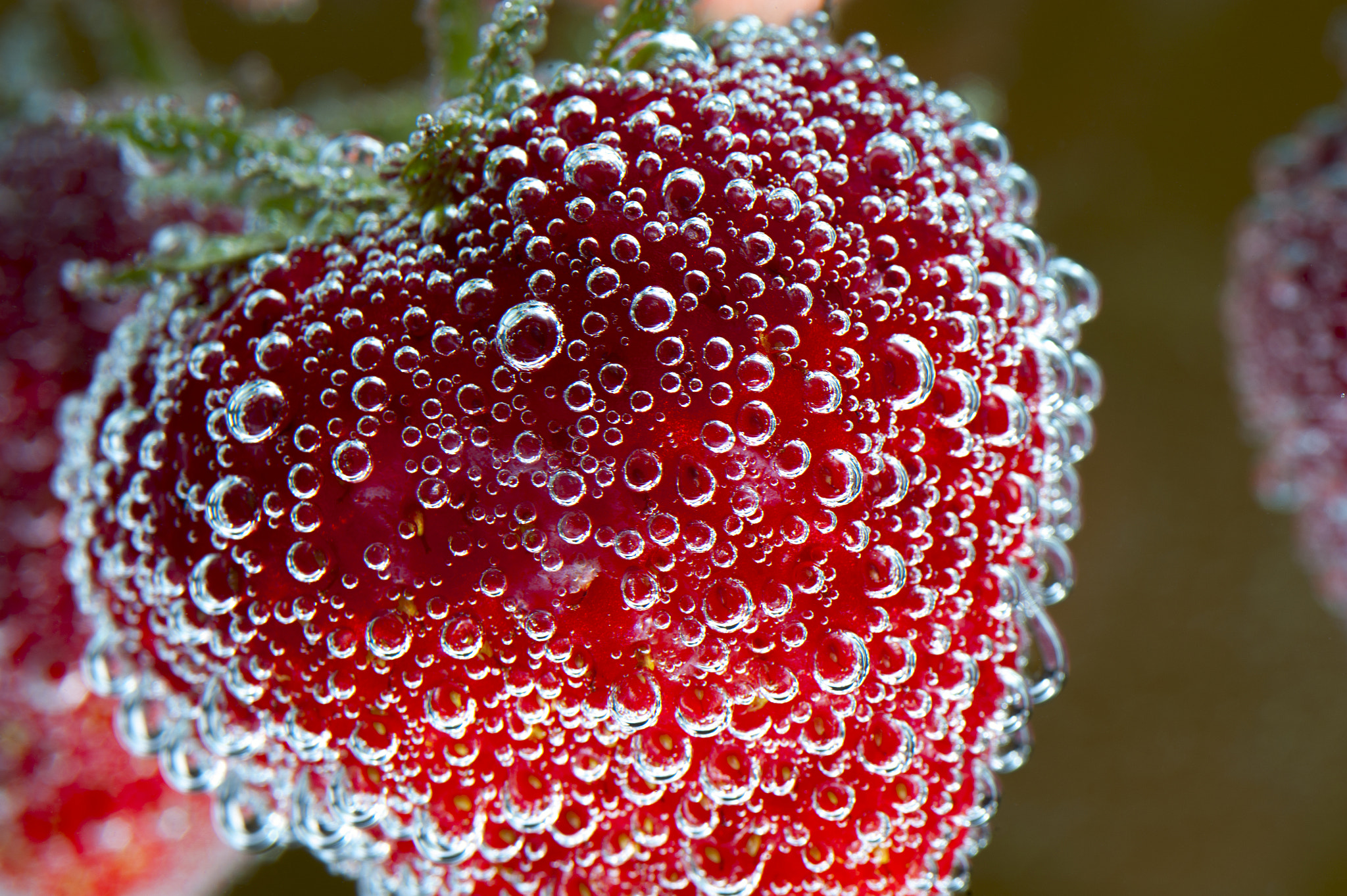 Nikon D700 + AF Micro-Nikkor 105mm f/2.8 sample photo. Strawberry in water with bubbles, closeup photography