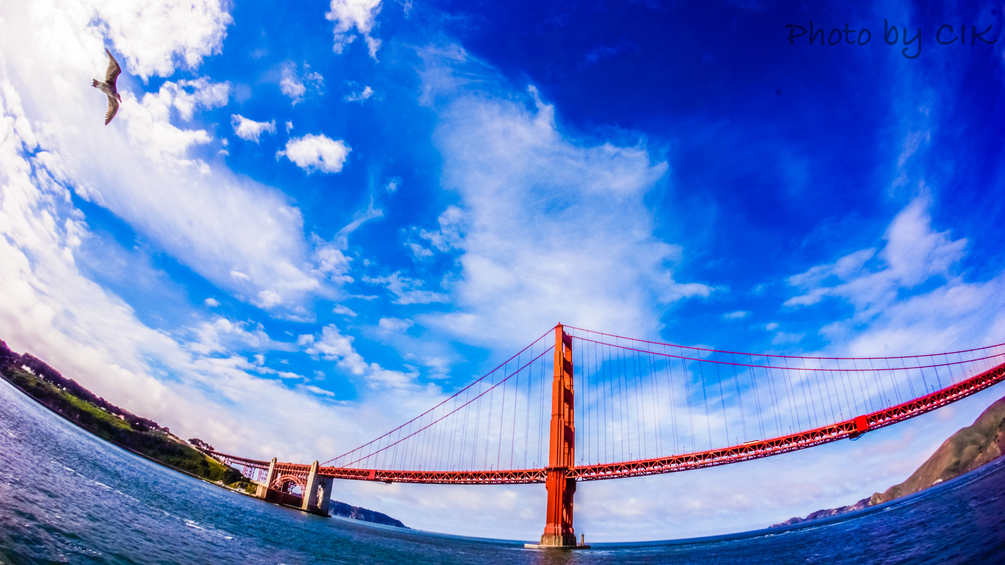 Sony Alpha NEX-7 + Sony E 16mm F2.8 sample photo. San francisco 2012 photography