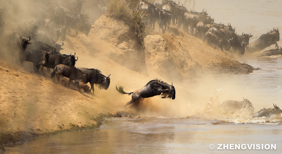 Crossing by ZHENG ZHANG on 500px.com