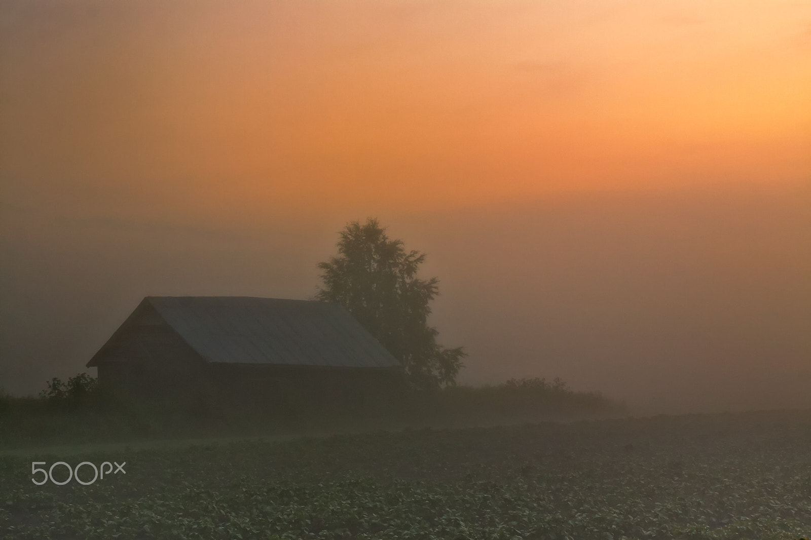 Canon EOS 50D + Canon EF 40mm F2.8 STM sample photo. Barn in a sunset mist photography