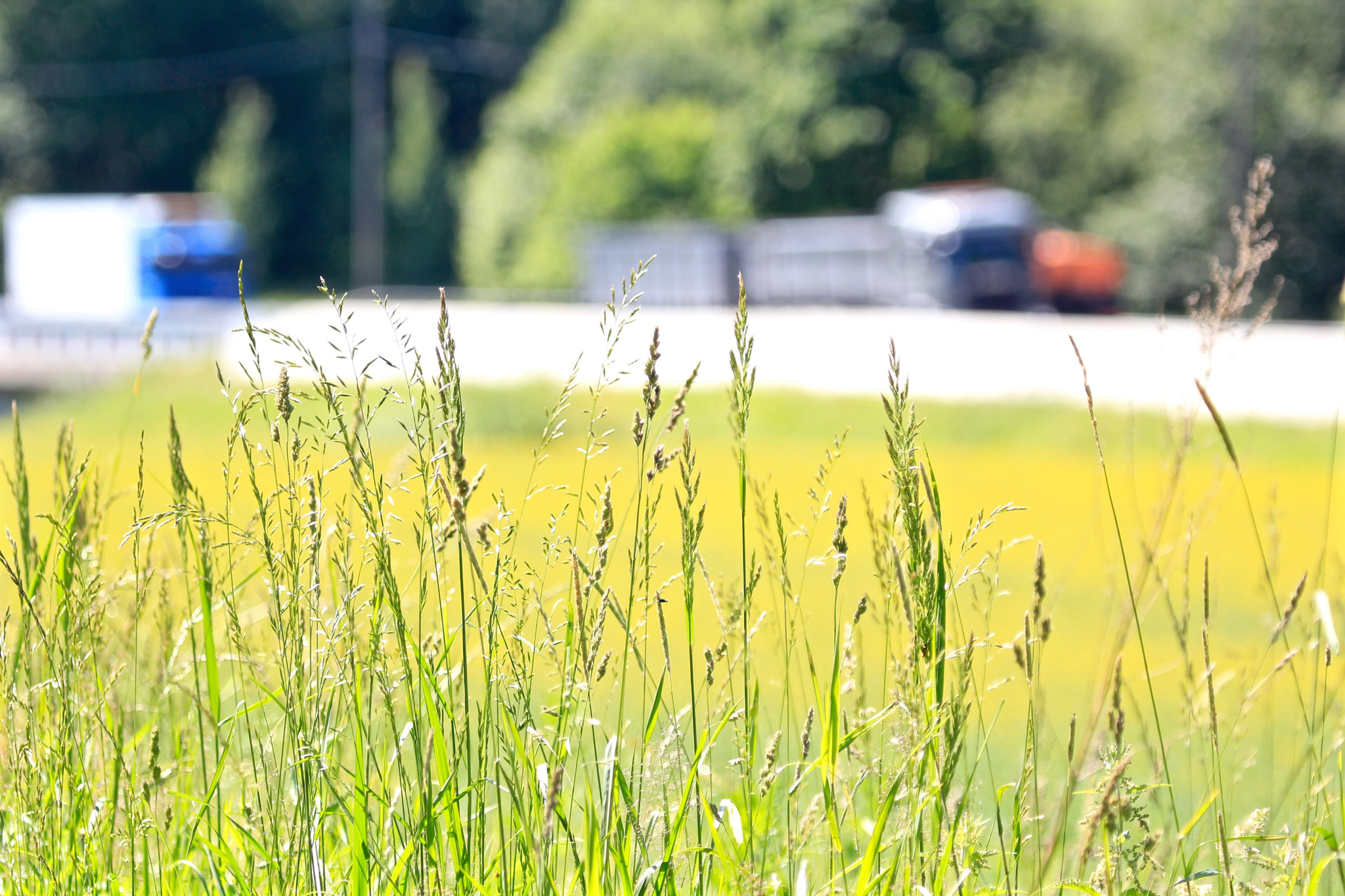 Canon EF 100-400mm F4.5-5.6L IS USM sample photo. Beside the highway photography