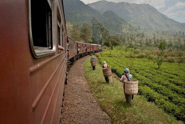 Amazing scenes from Sri Lanka