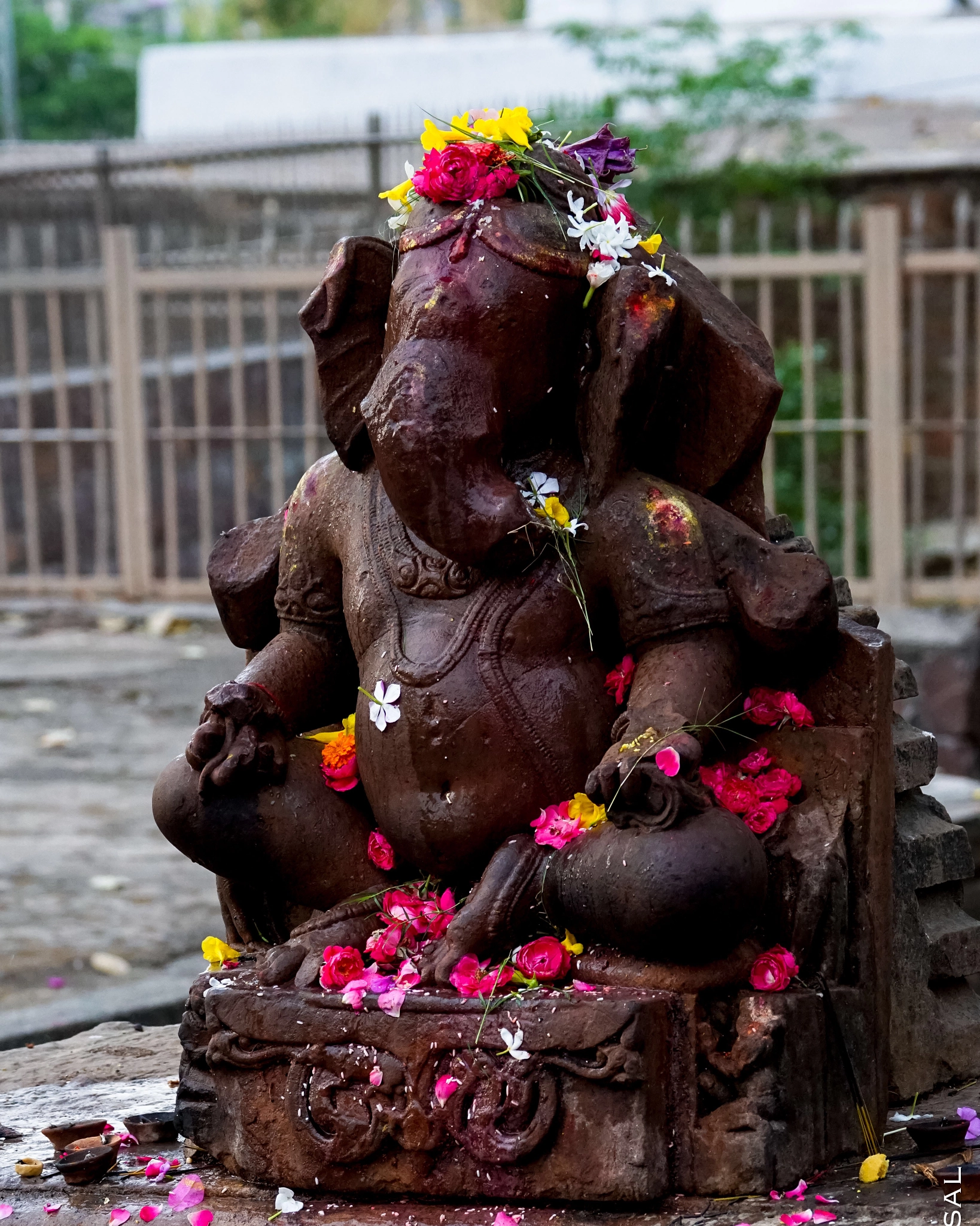 Sony 70-300mm F4.5-5.6 G SSM sample photo. वक्रतुण्ड महाकाय सूर्यकोटि समप्रभ । photography