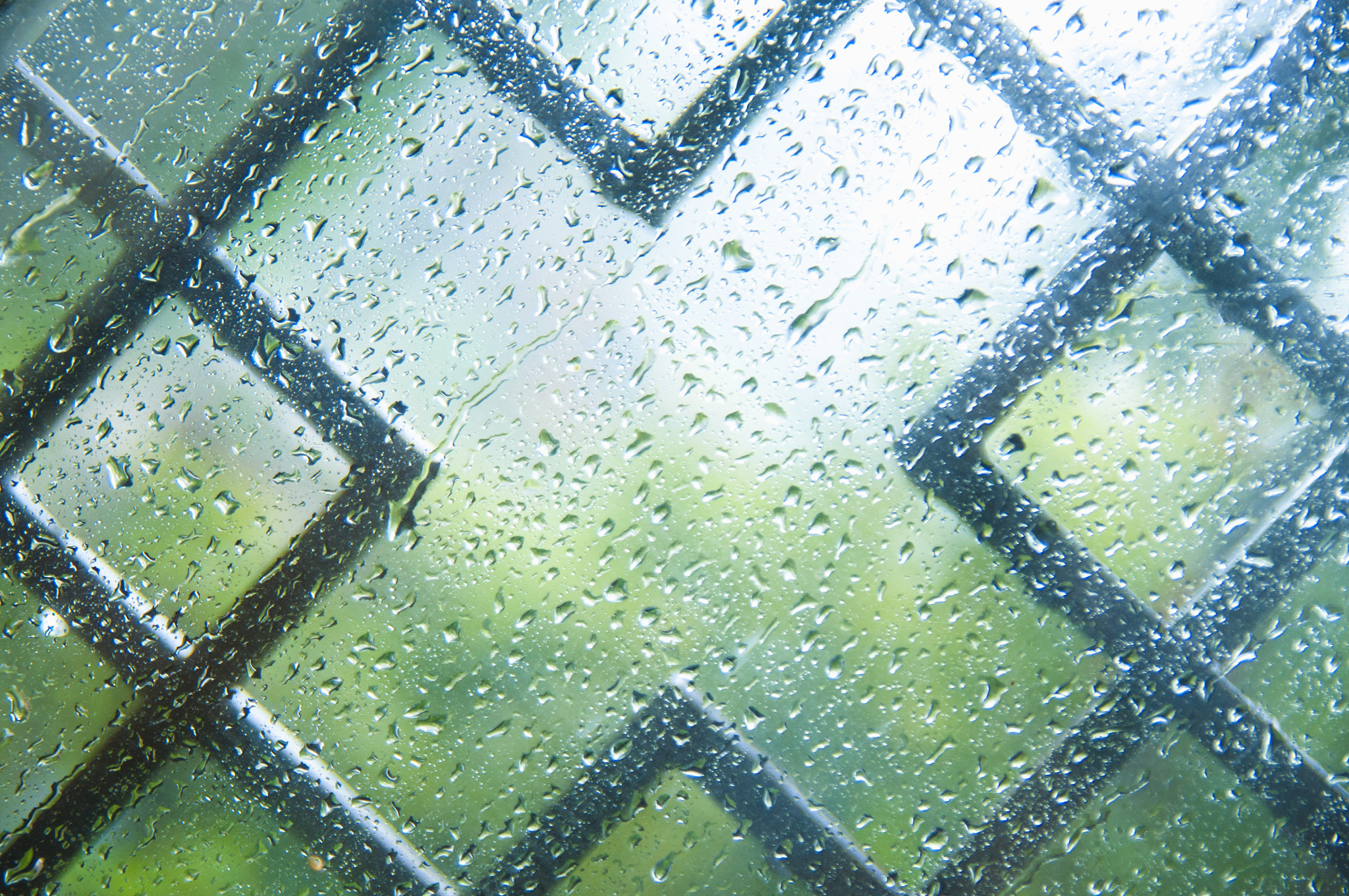 Nikon D300S sample photo. Spring rain photography