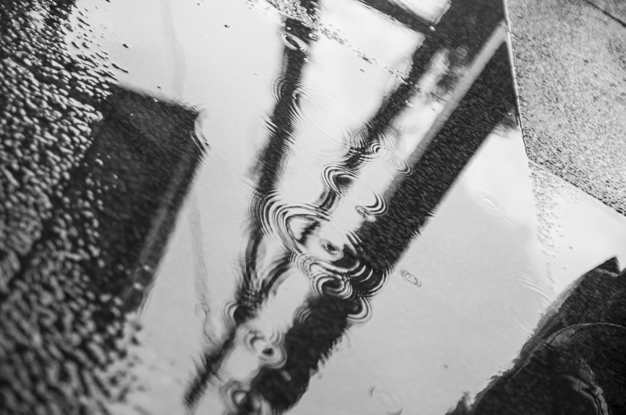 Nikon D300S sample photo. A fresh mirror photography