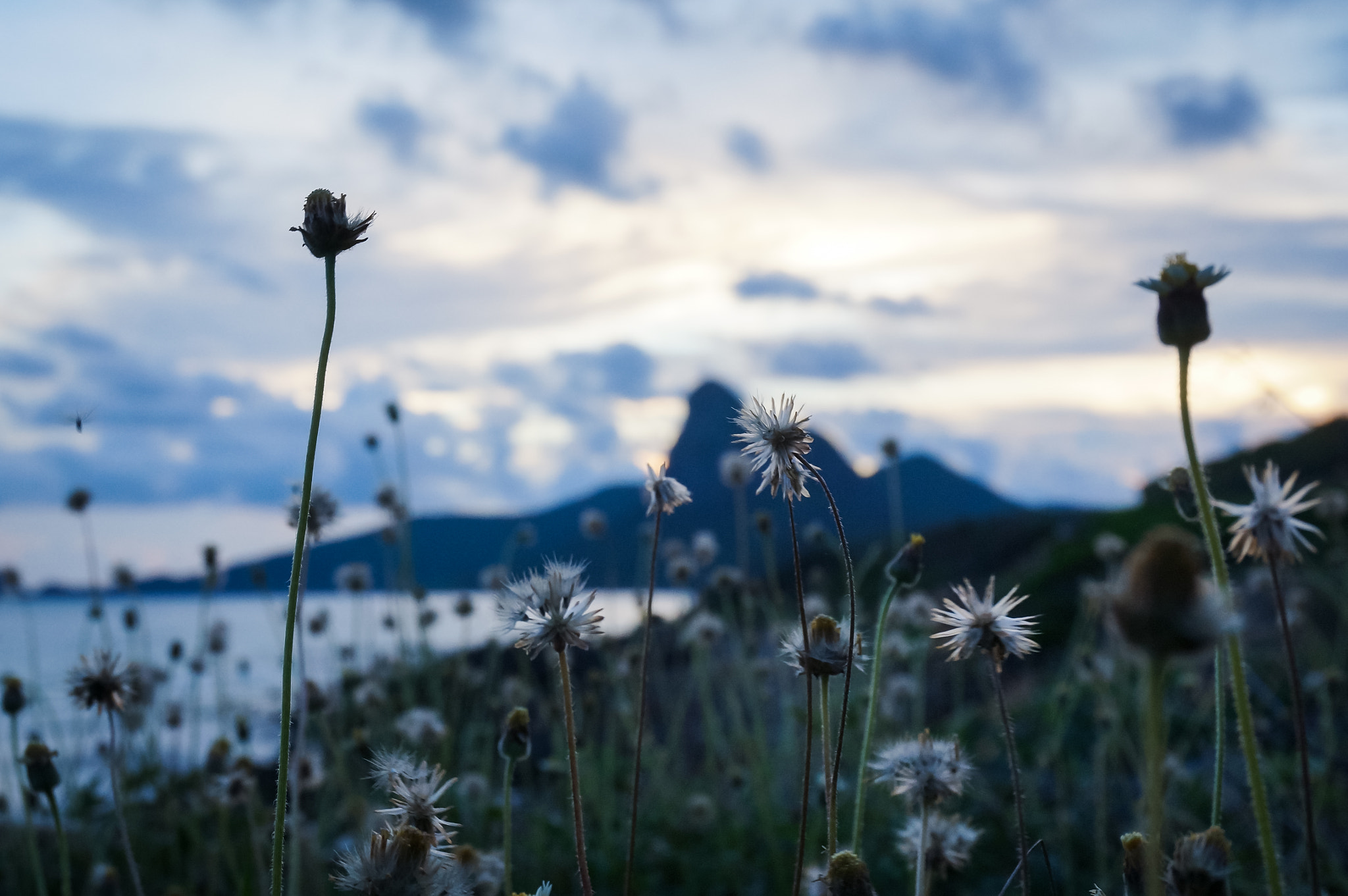 Sony Alpha NEX-F3 sample photo. Condao photography