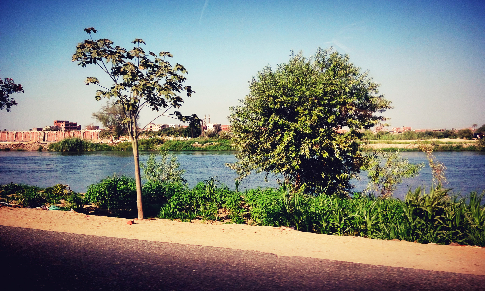 HTC DESIRE 820G PLUS DUAL SIM sample photo. Theroad  photography
