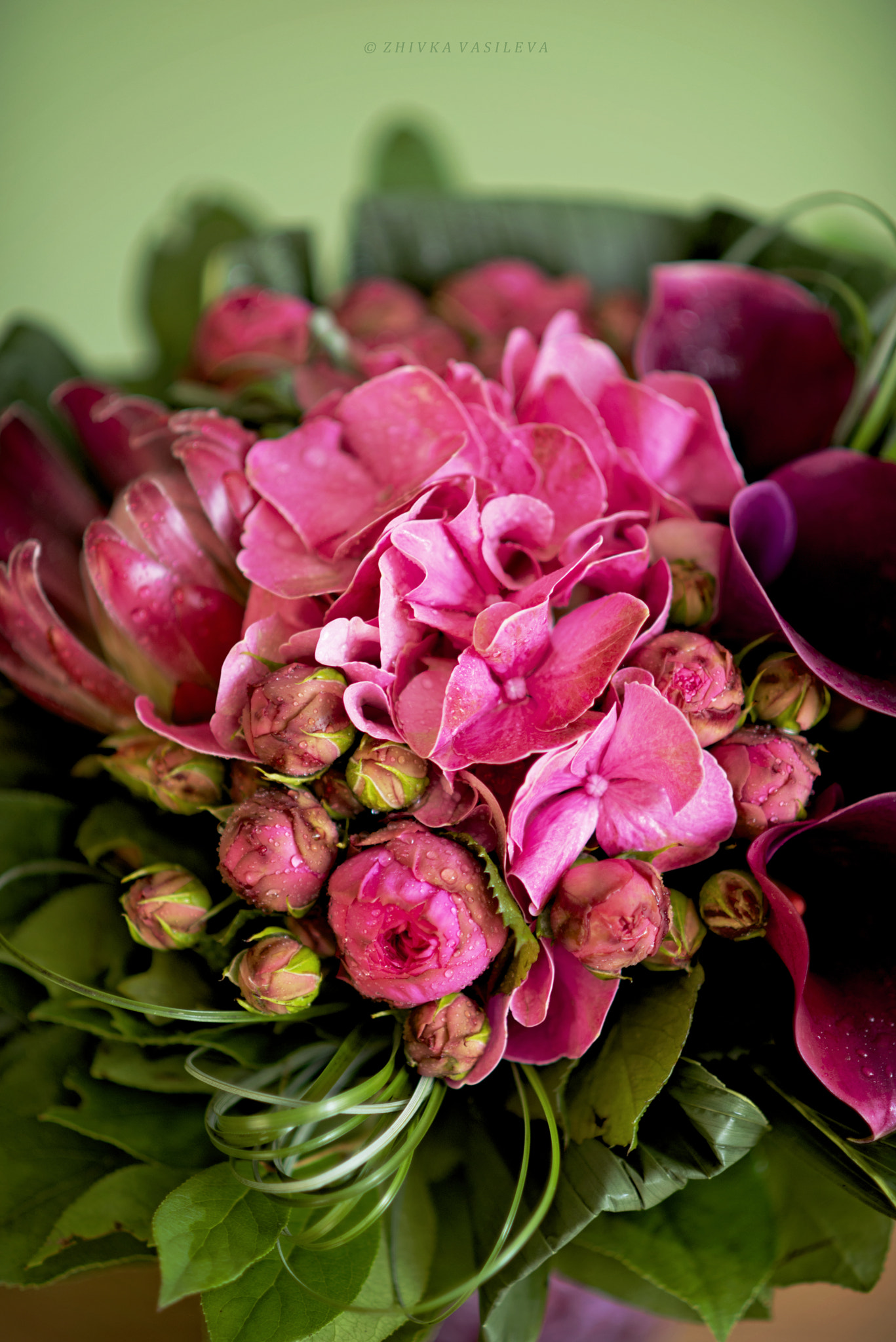 AF DC-Nikkor 135mm f/2D sample photo. Bouquet de fleurs photography