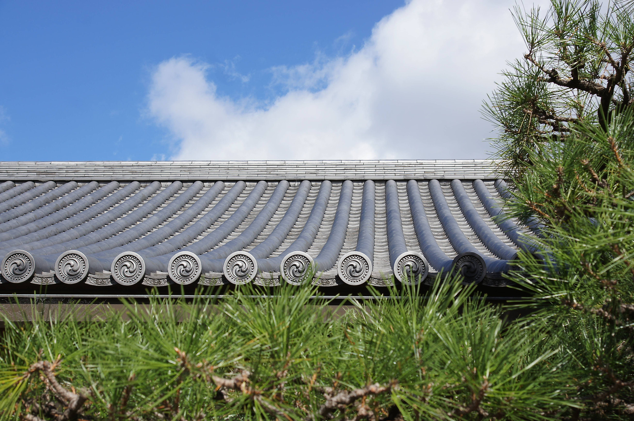 Sony Alpha DSLR-A580 sample photo. Kyoto photography