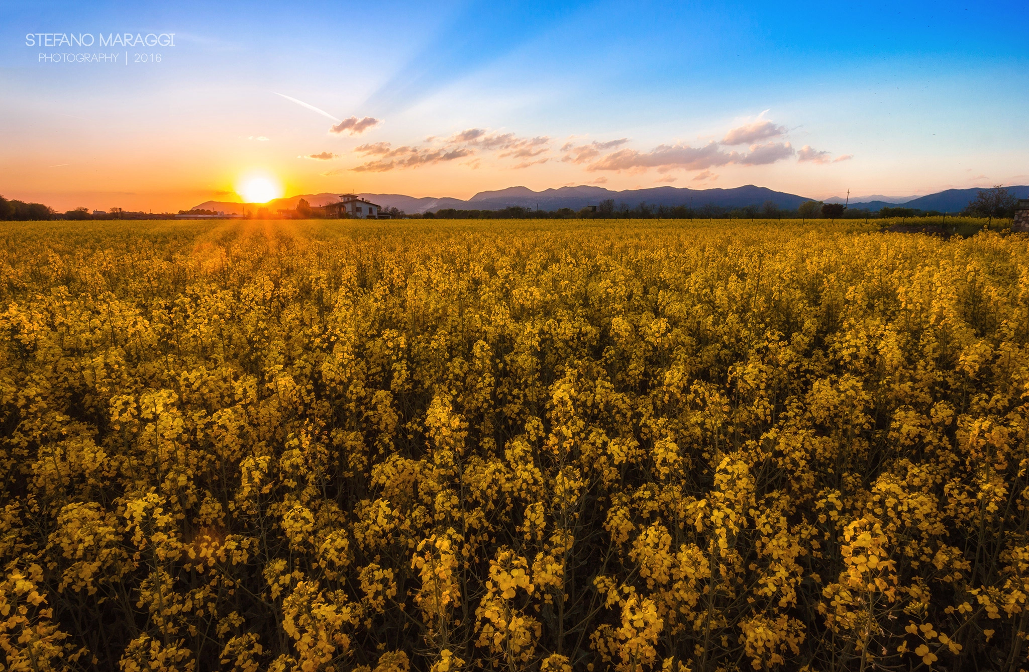 Canon EF-S 10-18mm F4.5–5.6 IS STM sample photo. Sunset and flowers photography