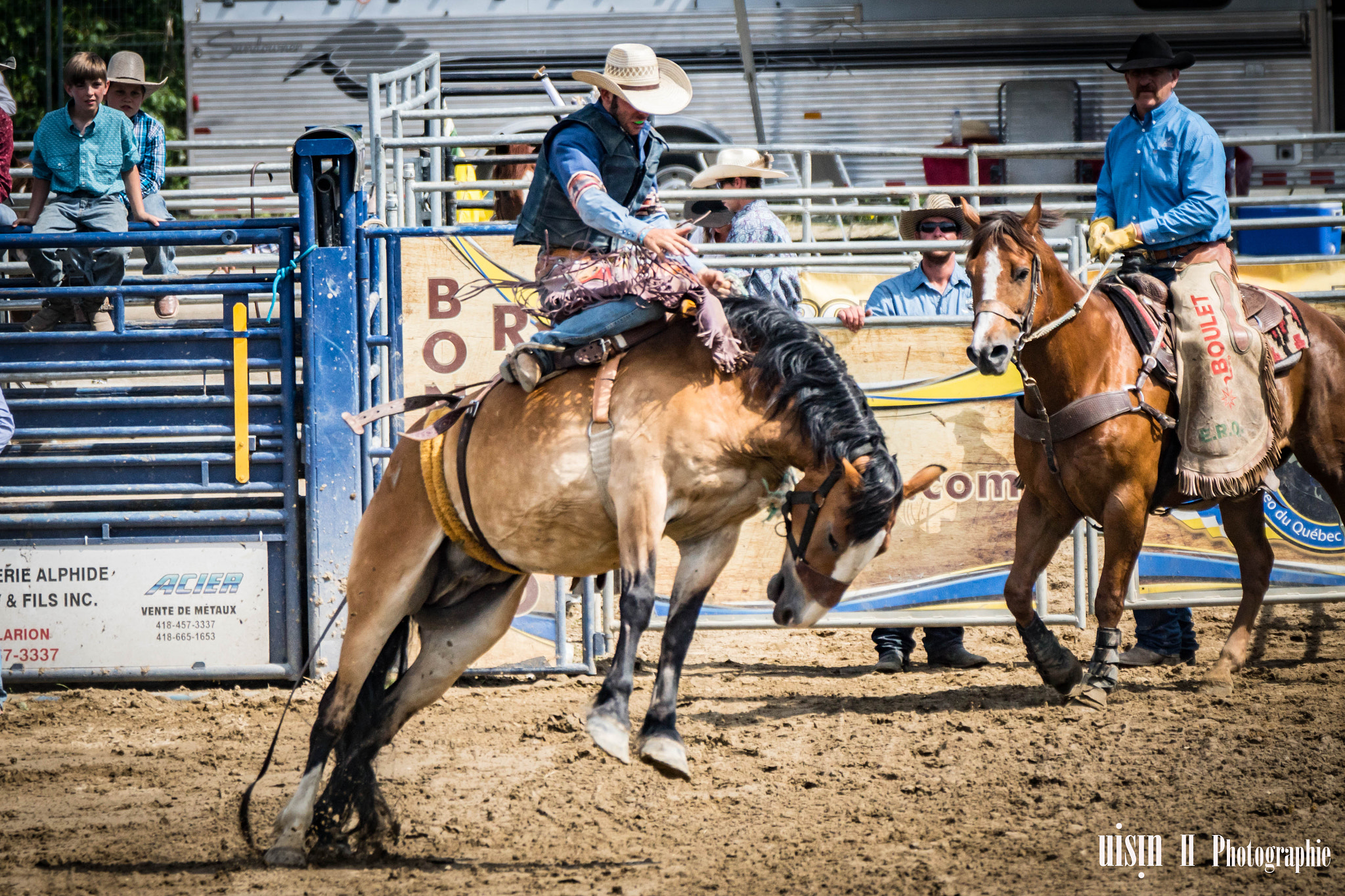 Sony 70-300mm F4.5-5.6 G SSM sample photo. Wild horse photography