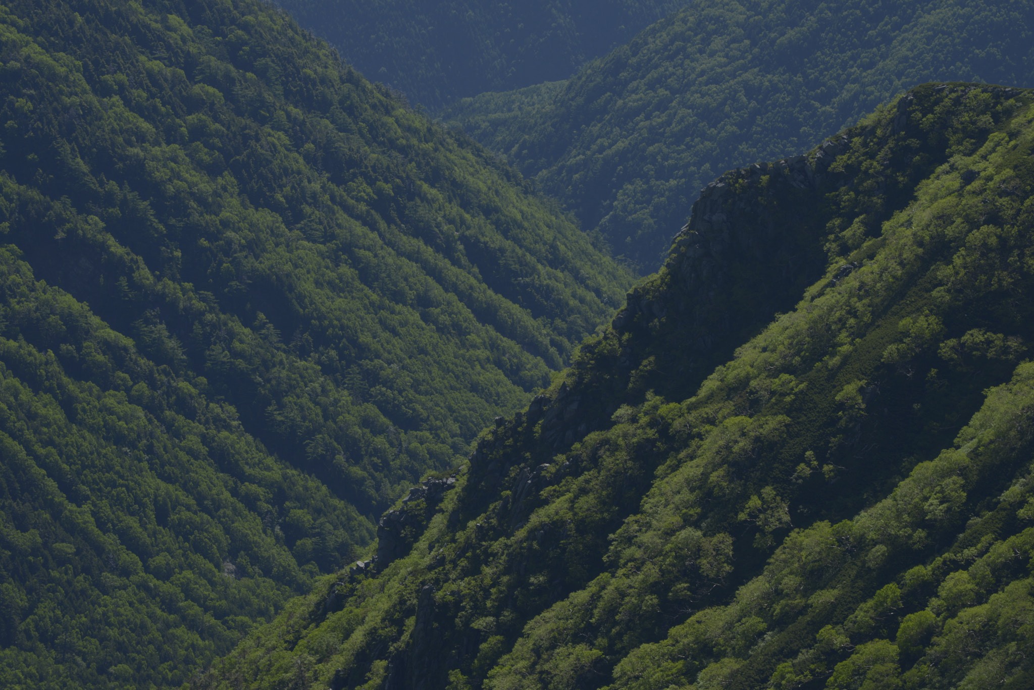 Nikon AF-S Nikkor 70-200mm F4G ED VR sample photo. Vvv photography