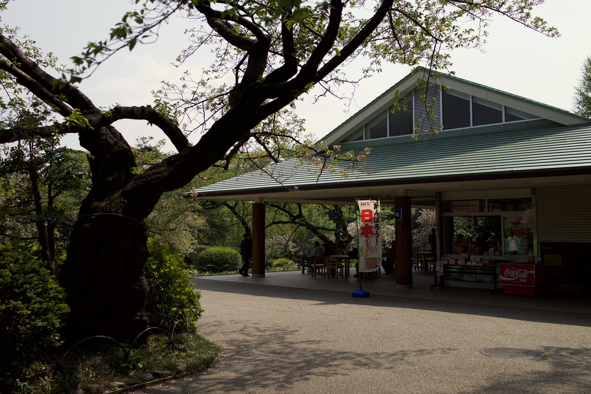 Sony Cyber-shot DSC-RX1 + Sony 35mm F2.0 sample photo