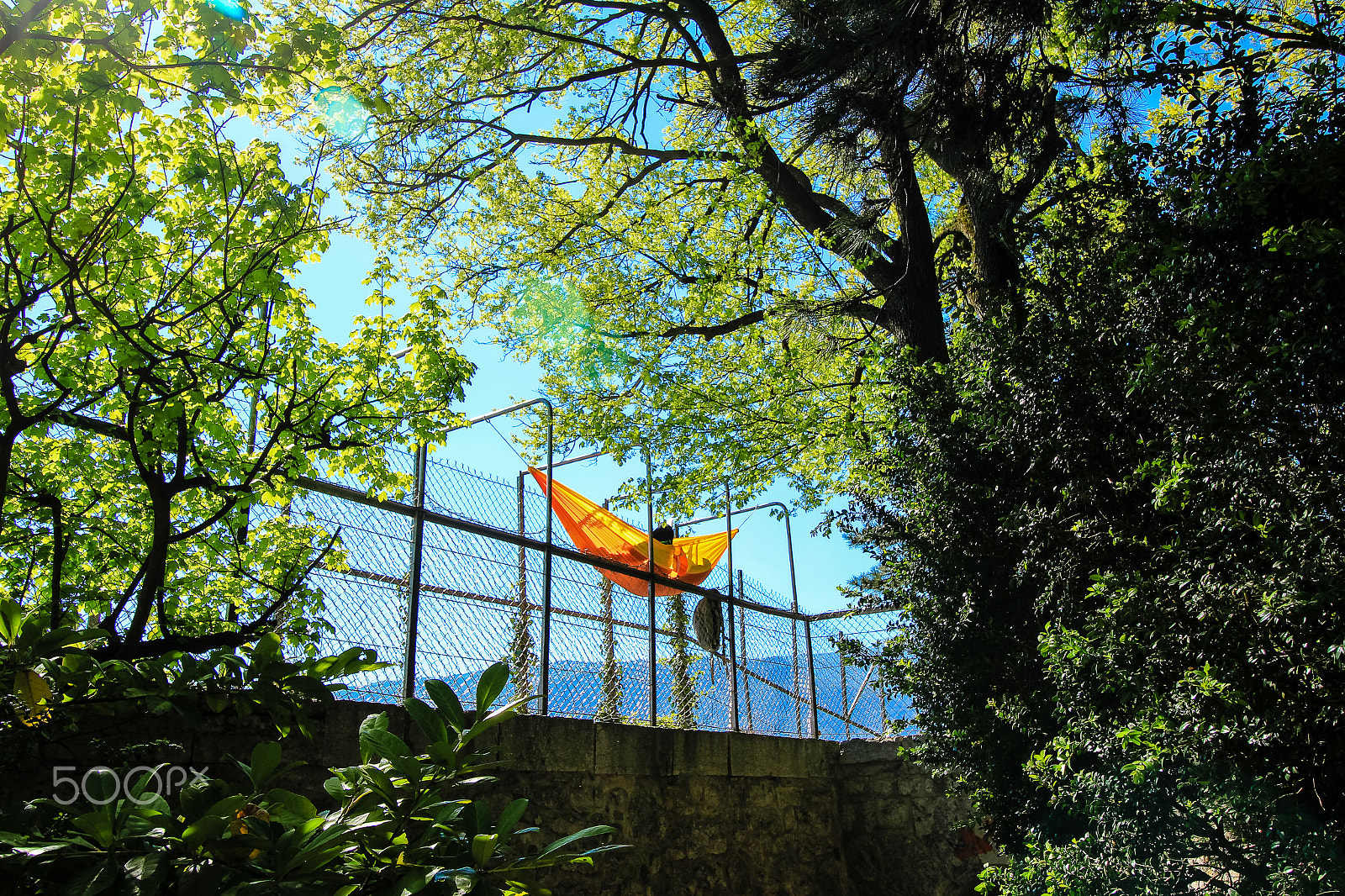 Canon EF-S 10-18mm F4.5–5.6 IS STM sample photo. Chill in the sun photography