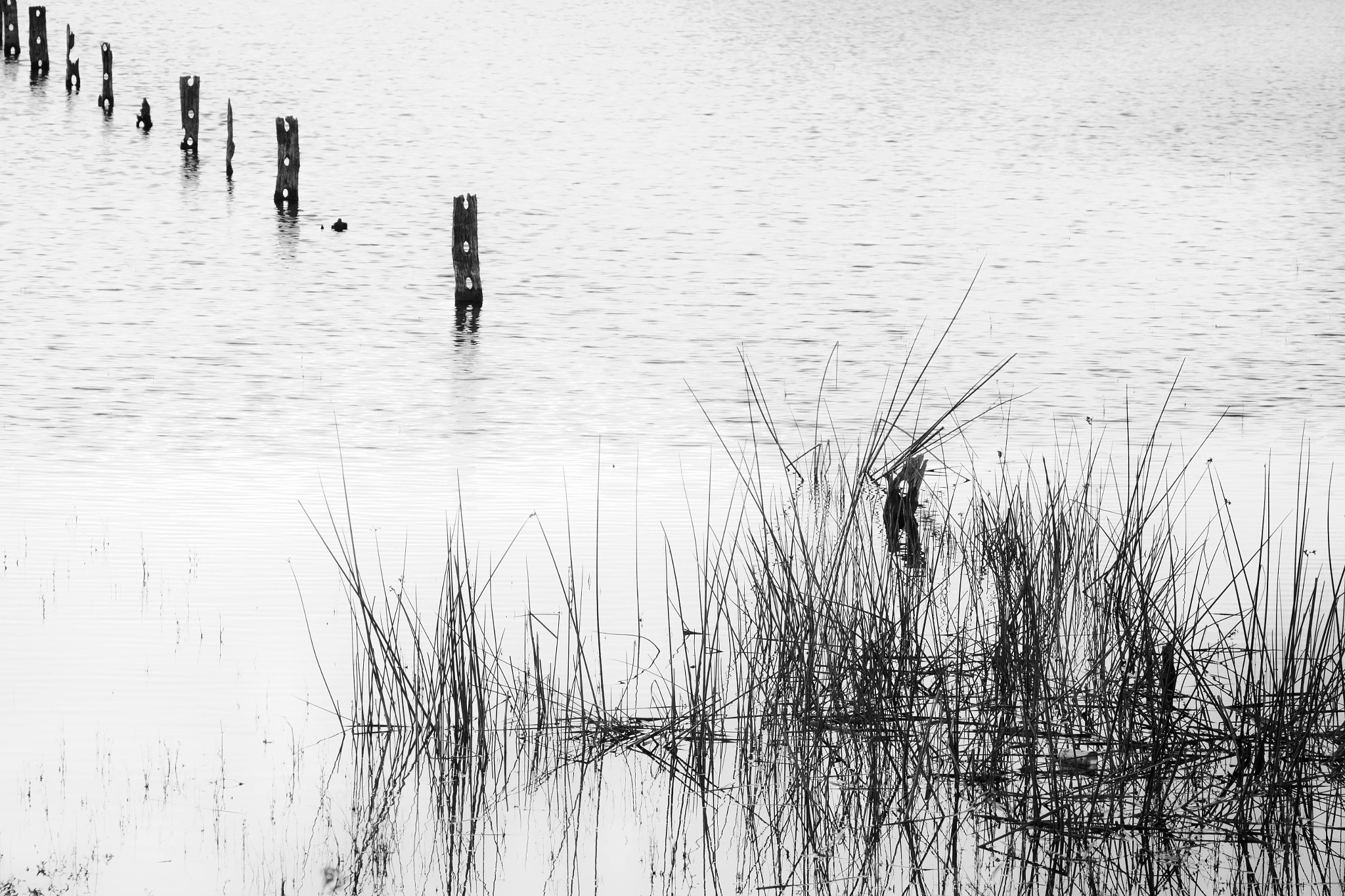 Sigma 70-300mm F4-5.6 APO DG Macro sample photo. Fenced lake photography