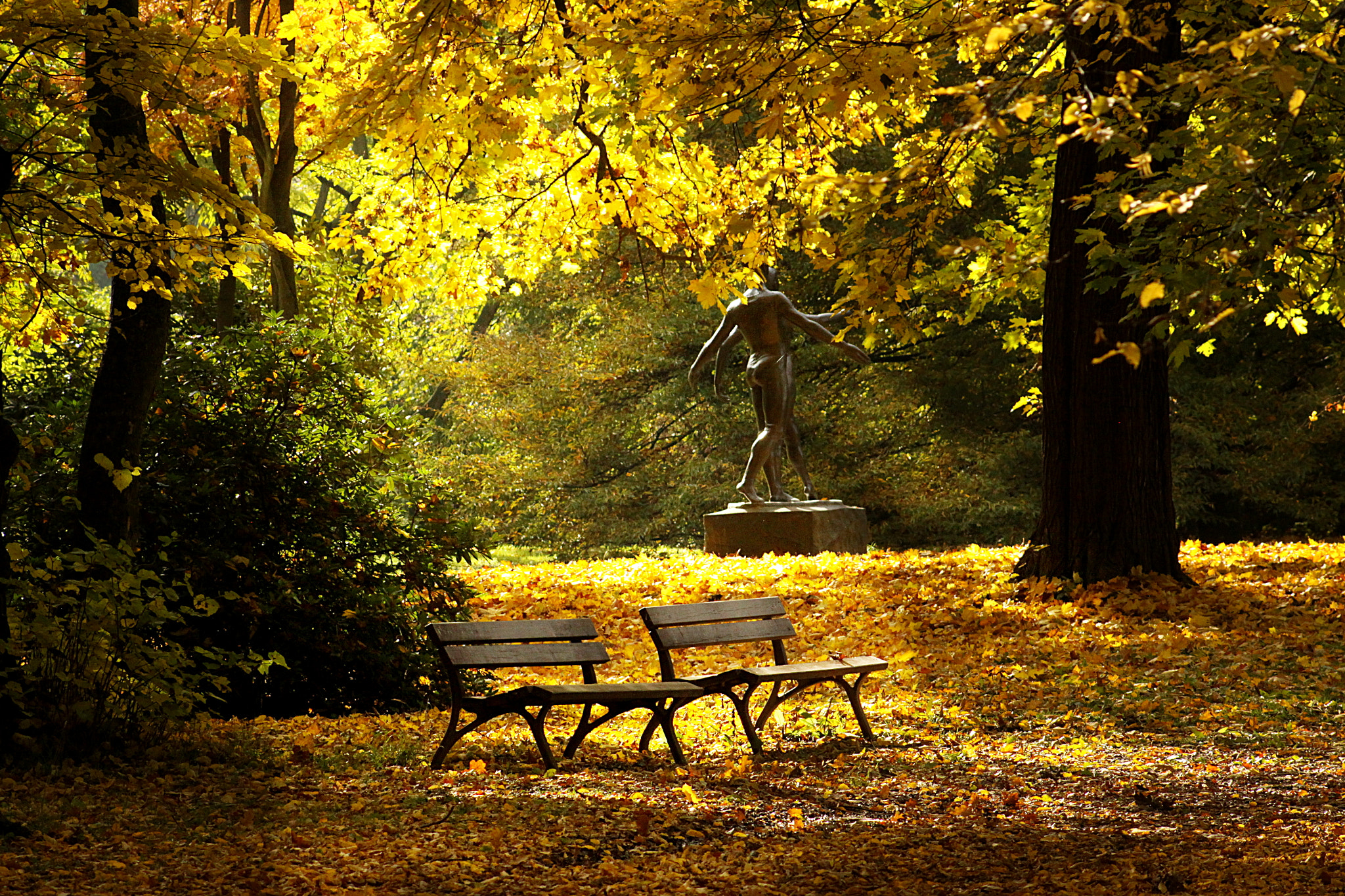 Canon EOS 50D + EF75-300mm f/4-5.6 sample photo. Autumn feelings photography
