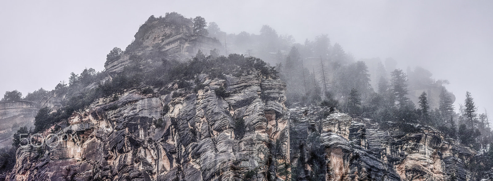 Nikon D810 + Nikon AF Micro-Nikkor 200mm F4D ED-IF sample photo. Snow veil photography