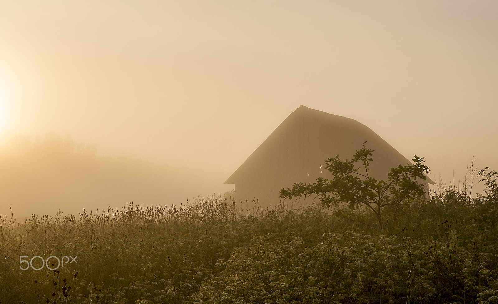 Sony DT 18-55mm F3.5-5.6 SAM II sample photo. Foggy.... photography
