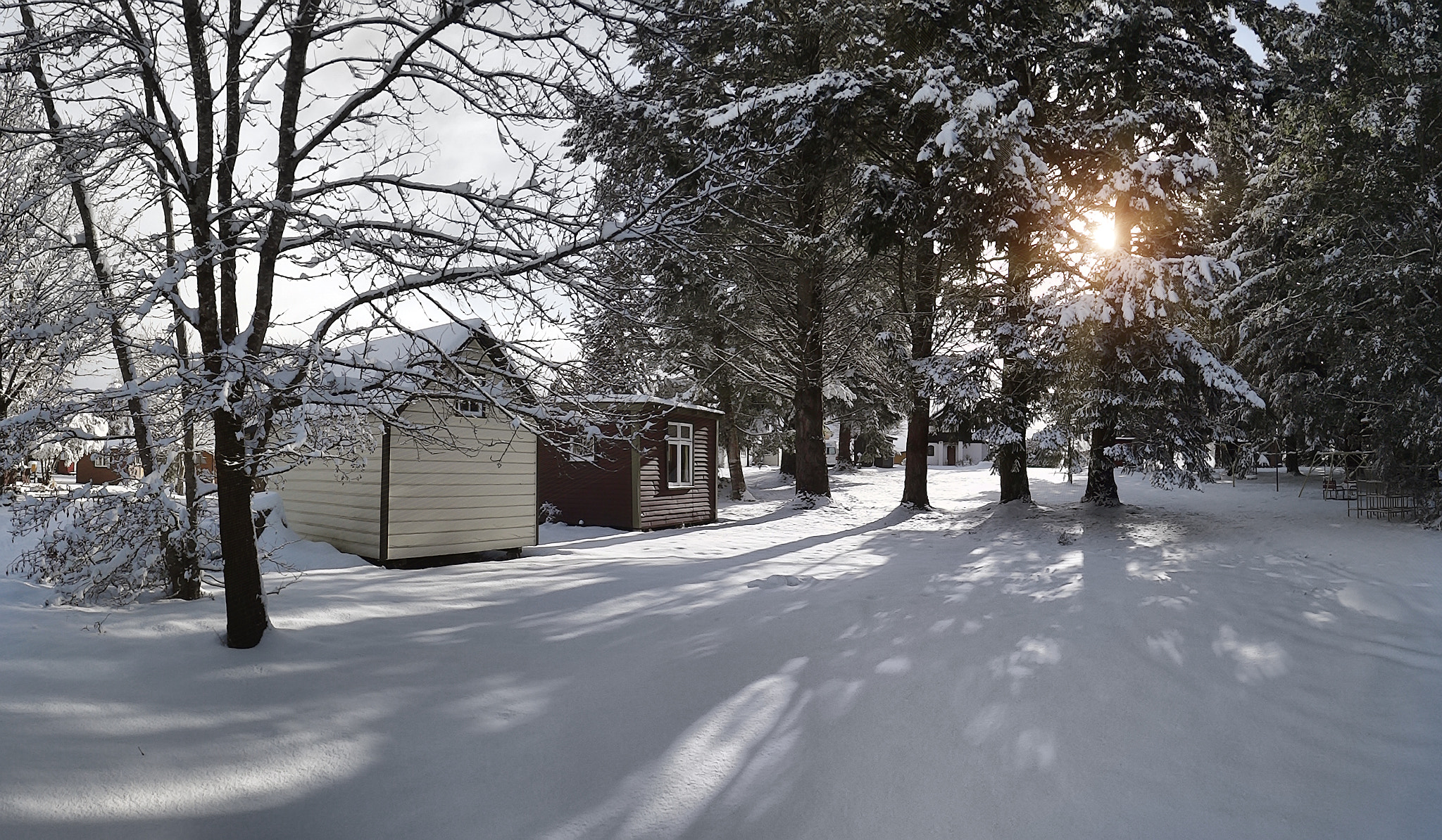 Sony Cyber-shot DSC-TX10 sample photo. I love leaving my footprints in virgin snow photography