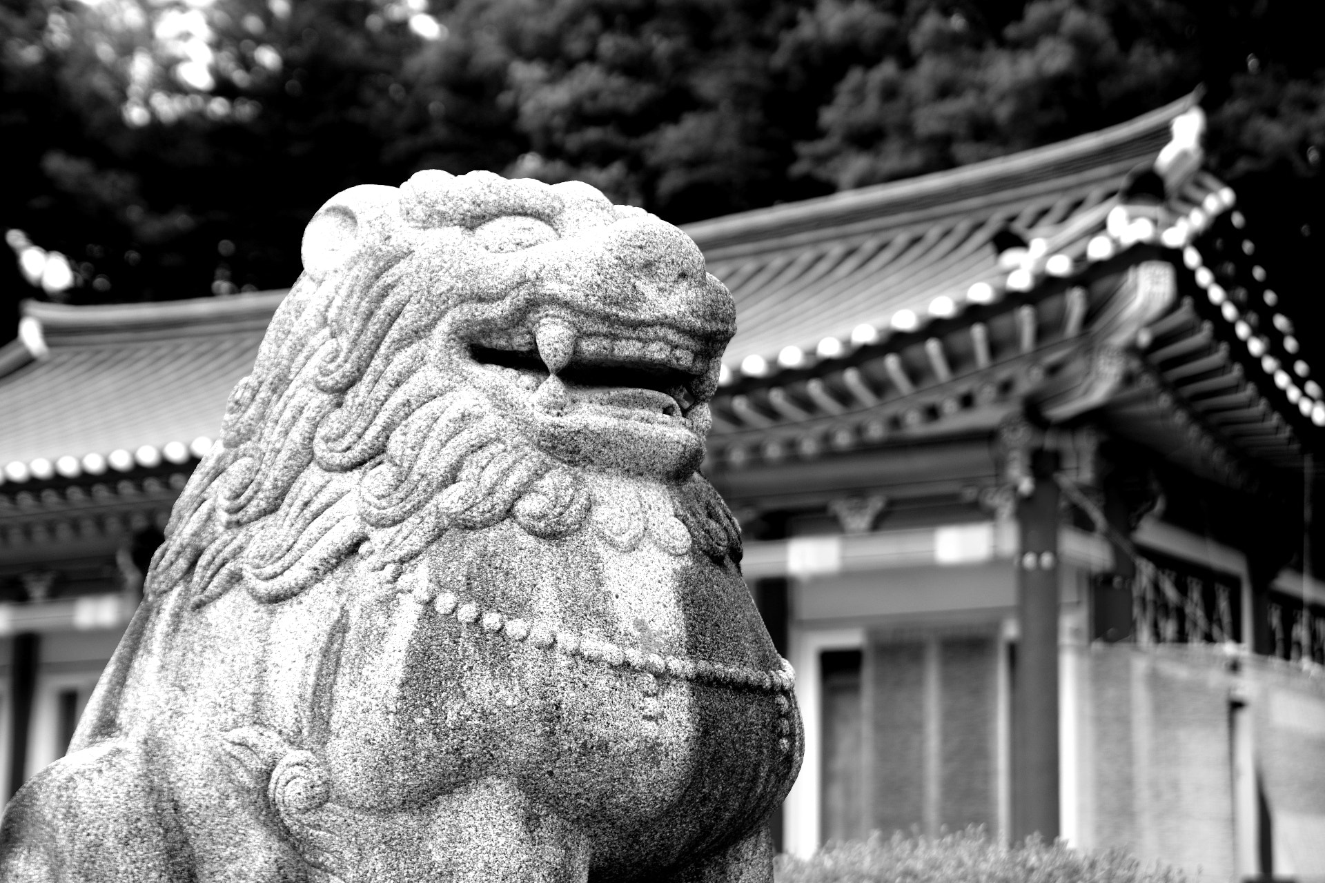 Pentax K-3 sample photo. Stone lion photography