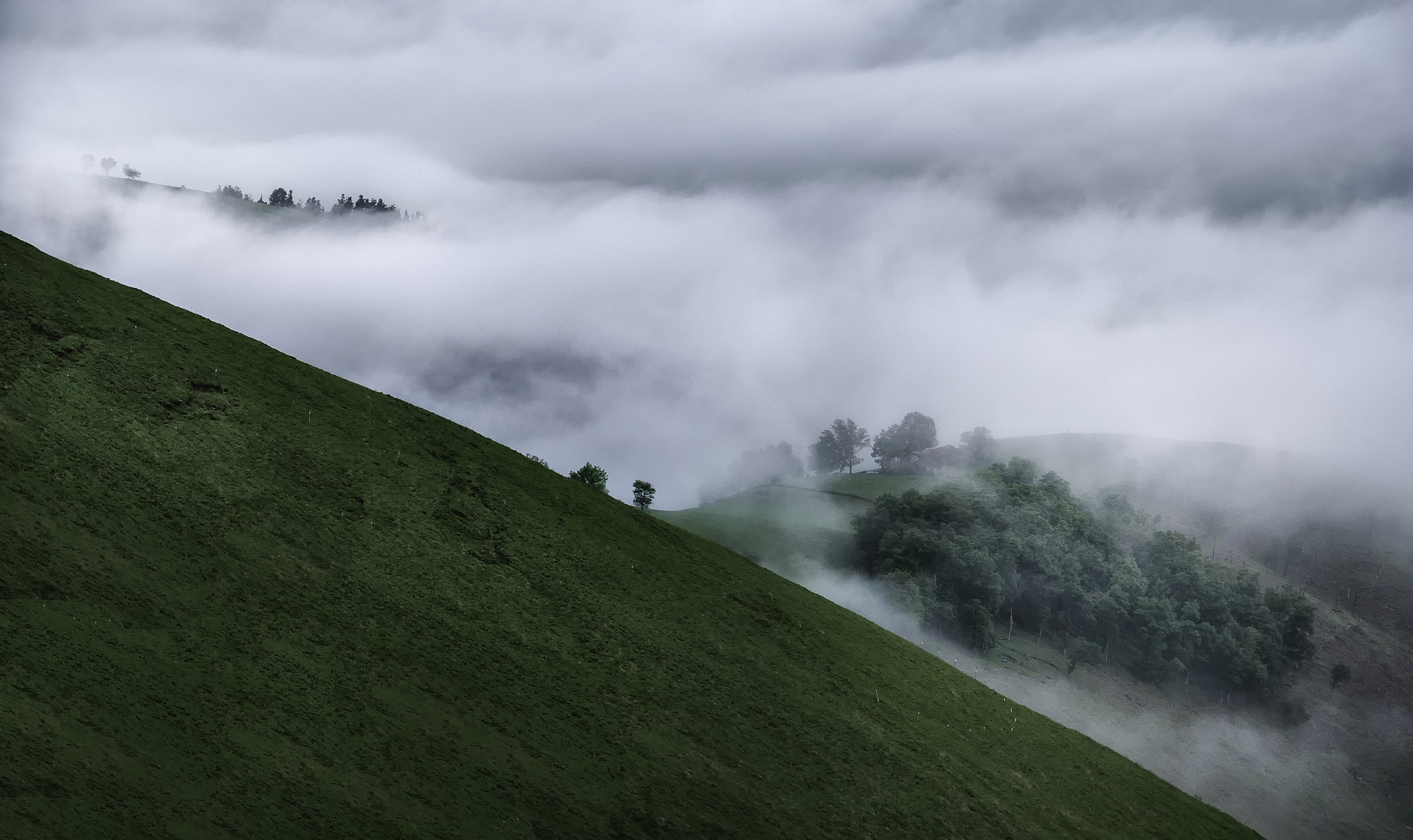 Nikon D80 sample photo. If you go... photography