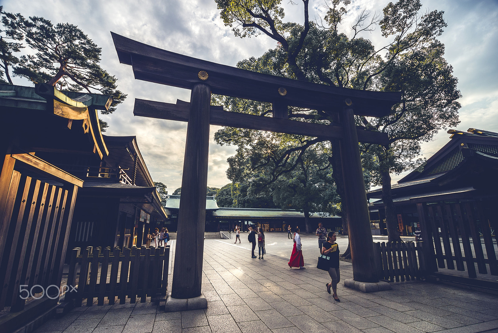 Pentax K-1 + Pentax smc DA 12-24mm F4.0 ED AL (IF) sample photo. Meiji jingu photography