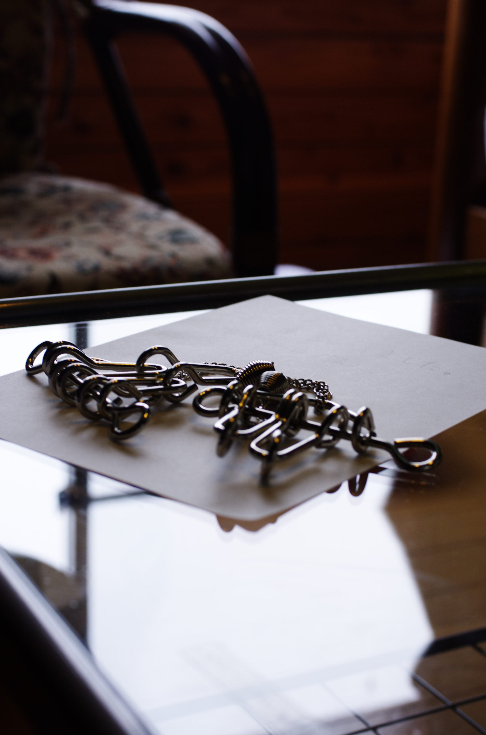 Pentax K-5 + Pentax smc DA 40mm F2.8 XS Lens sample photo. Wire puzzle photography