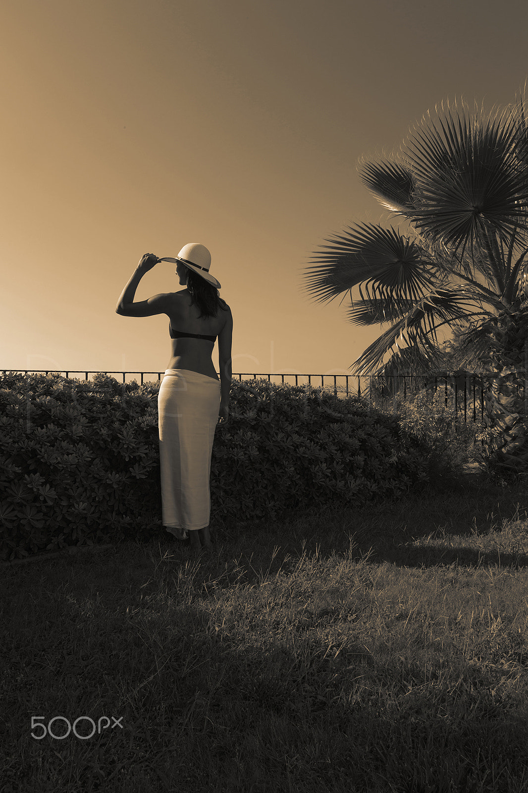 Canon EOS 6D + Sigma 24-60mm f/2.8 EX DG sample photo. Young woman in a tropical garden looking at view photography