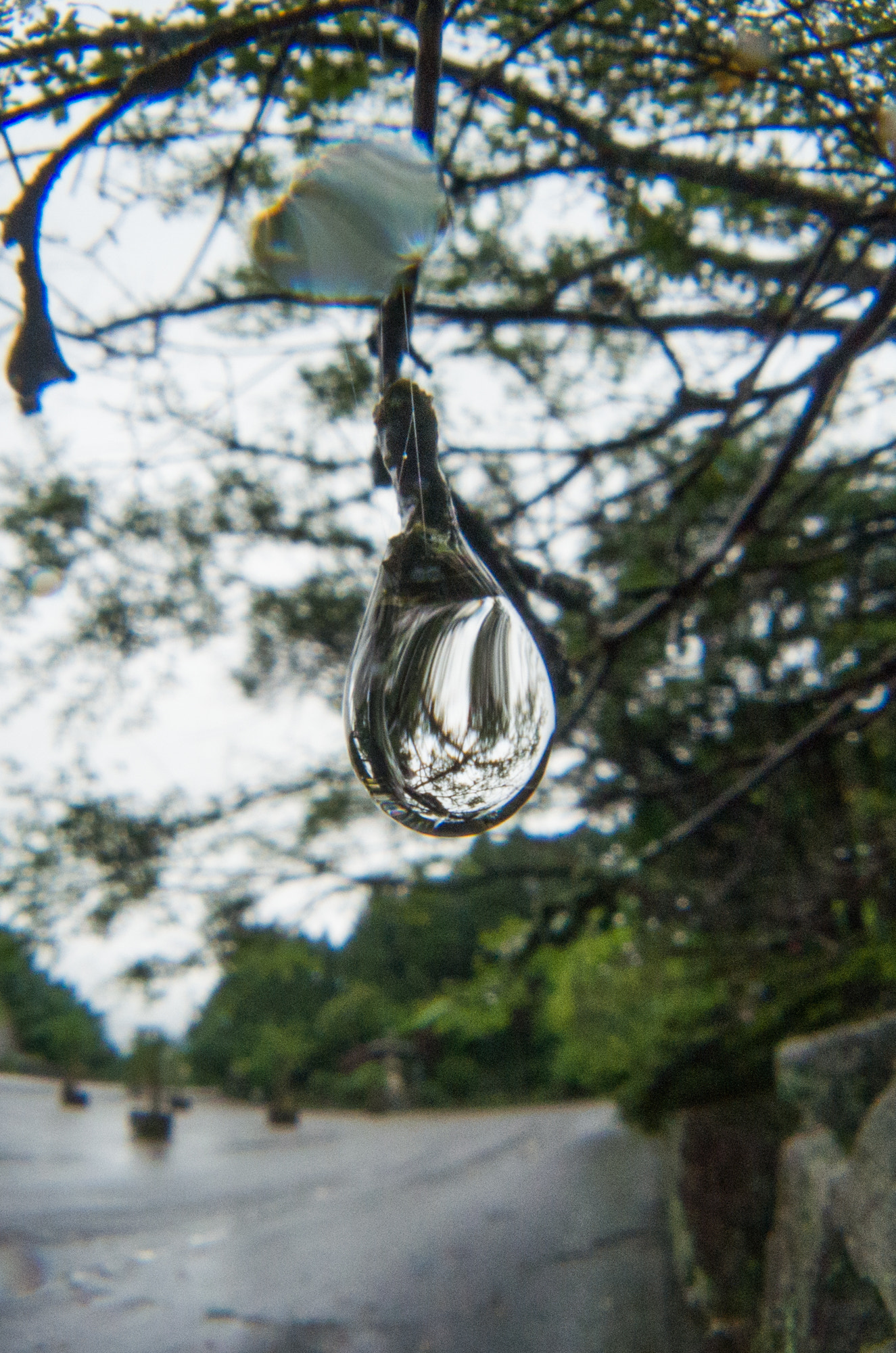 Pentax K-5 IIs sample photo. Water drop like a light bulb photography