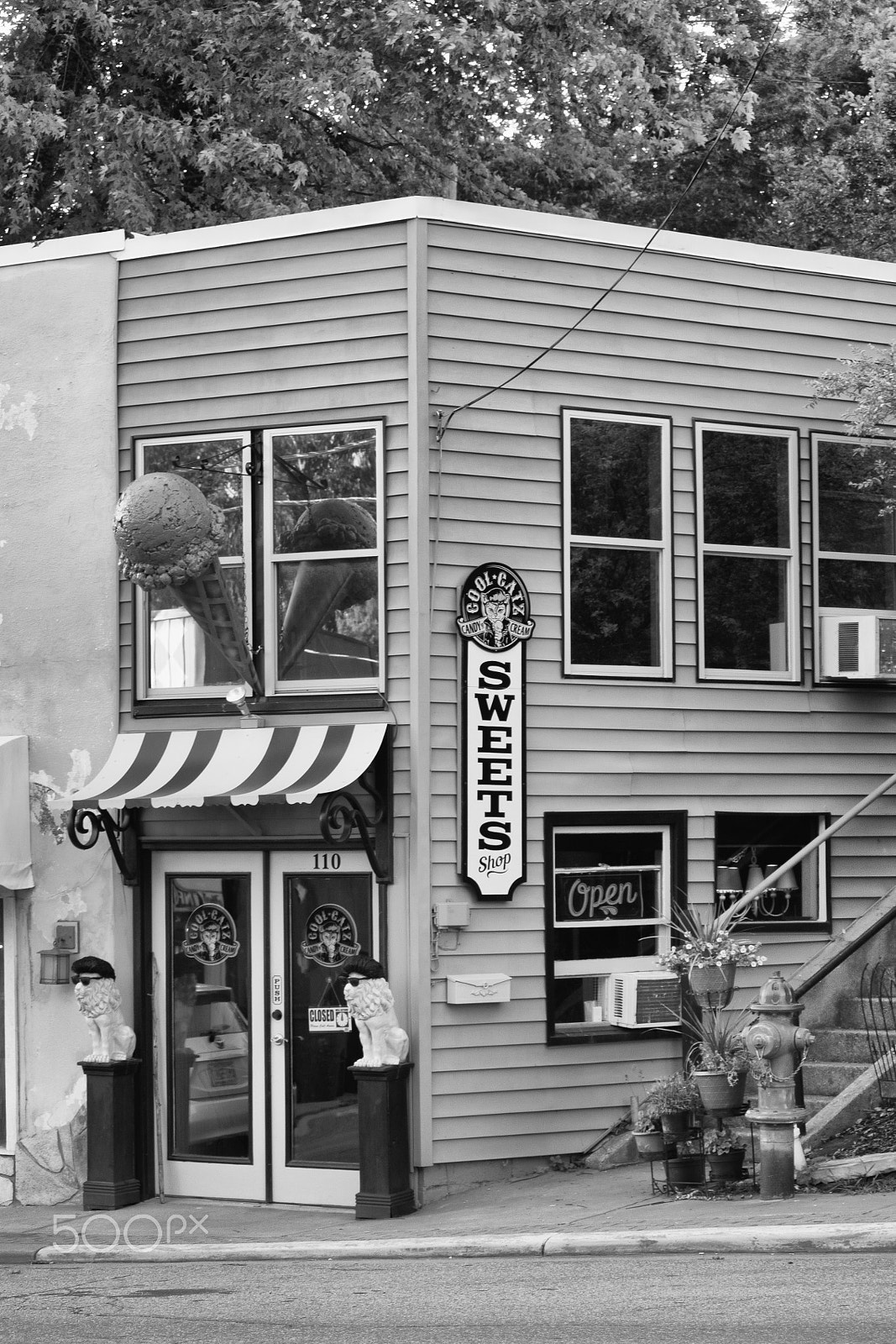 Olympus PEN E-P5 sample photo. Cool catz store front photography