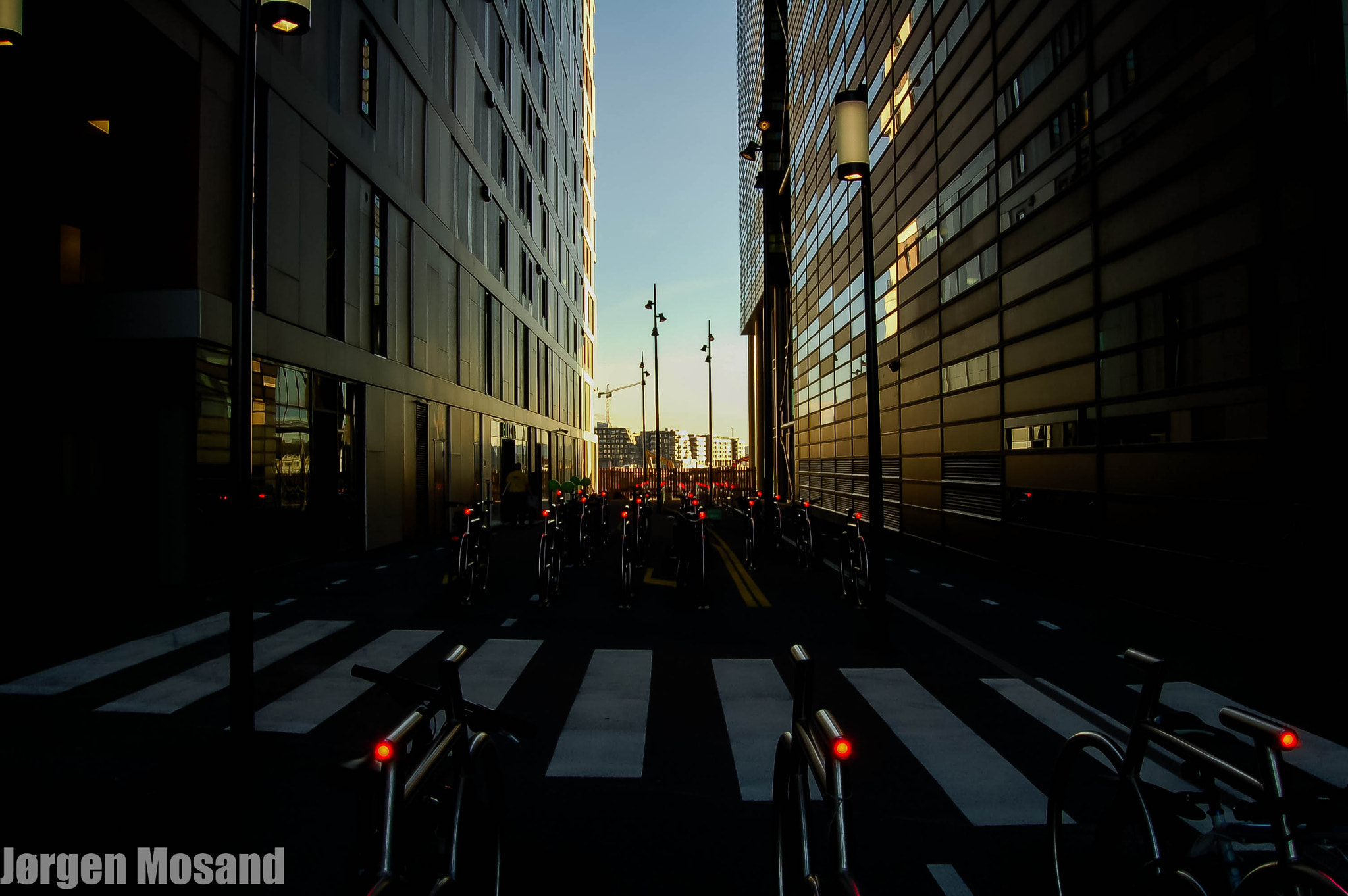 Nikon D50 sample photo. 6.jpg photography