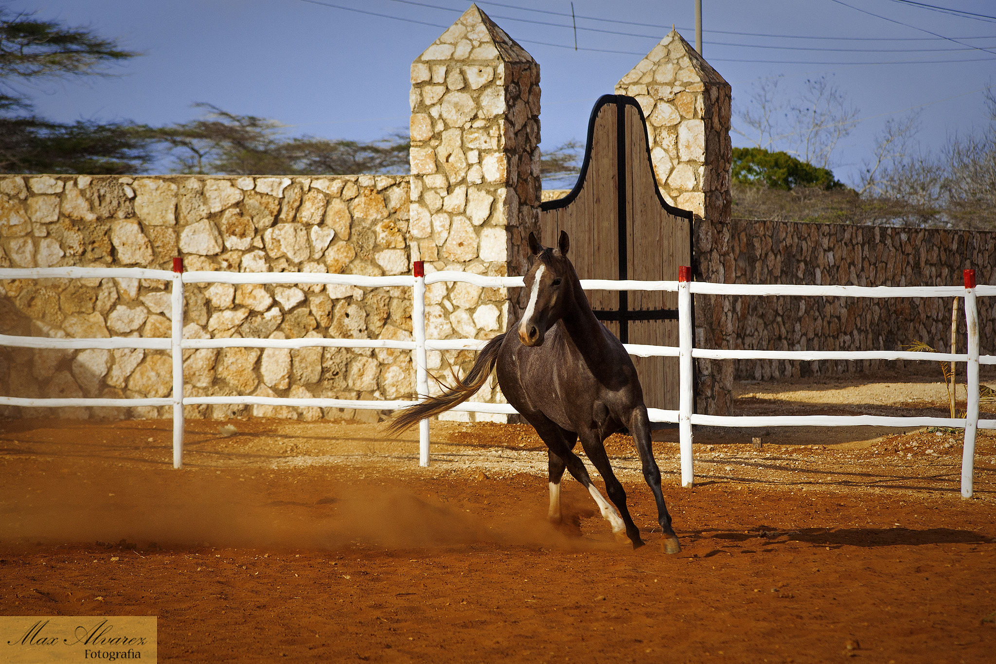 Canon EF 75-300mm F4.0-5.6 IS USM sample photo. Guasares ranch photography