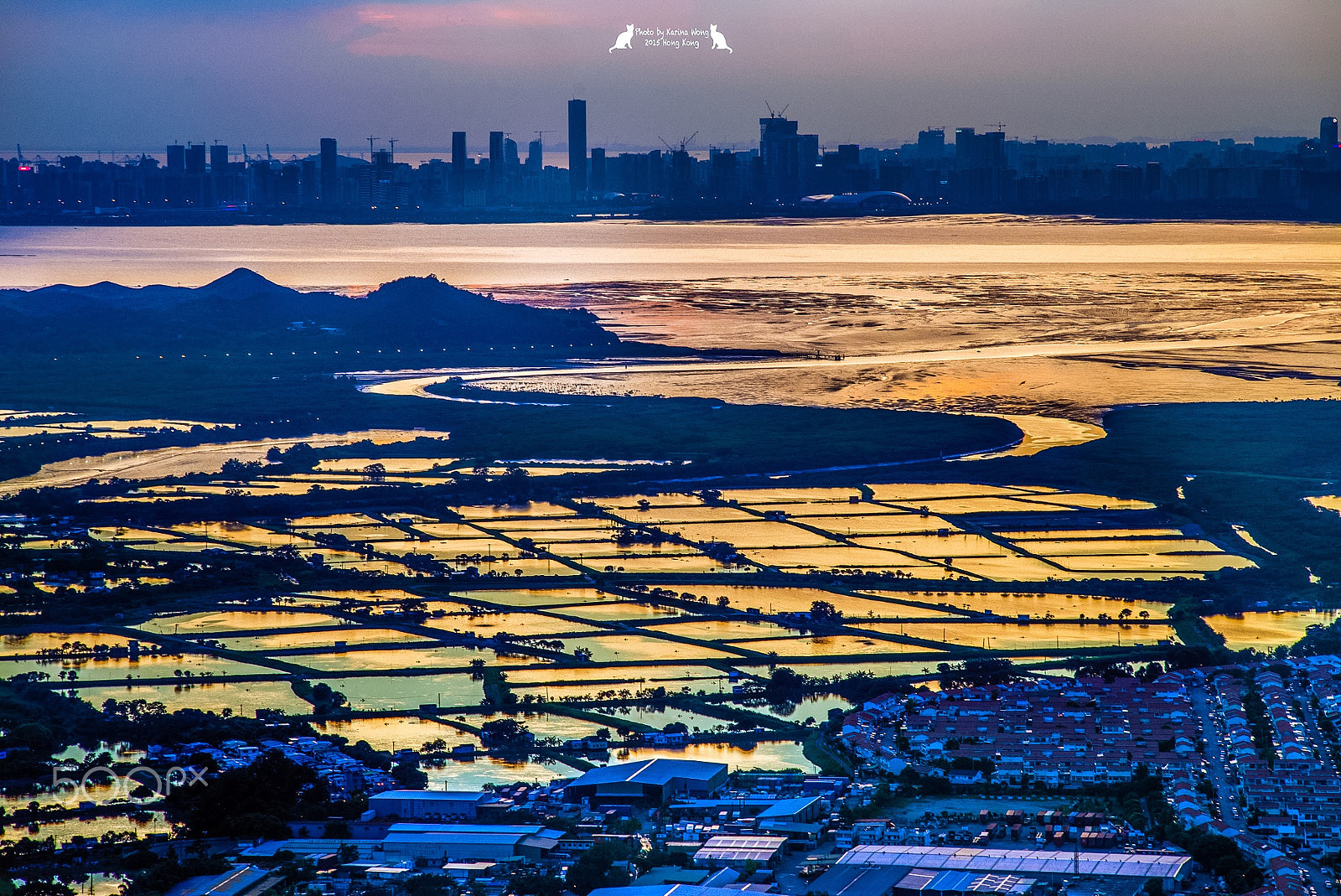 Nikon D800E + AF Nikkor 70-210mm f/4-5.6 sample photo. Hong kong has turned into a business district , these ponds will soon be disappeared photography