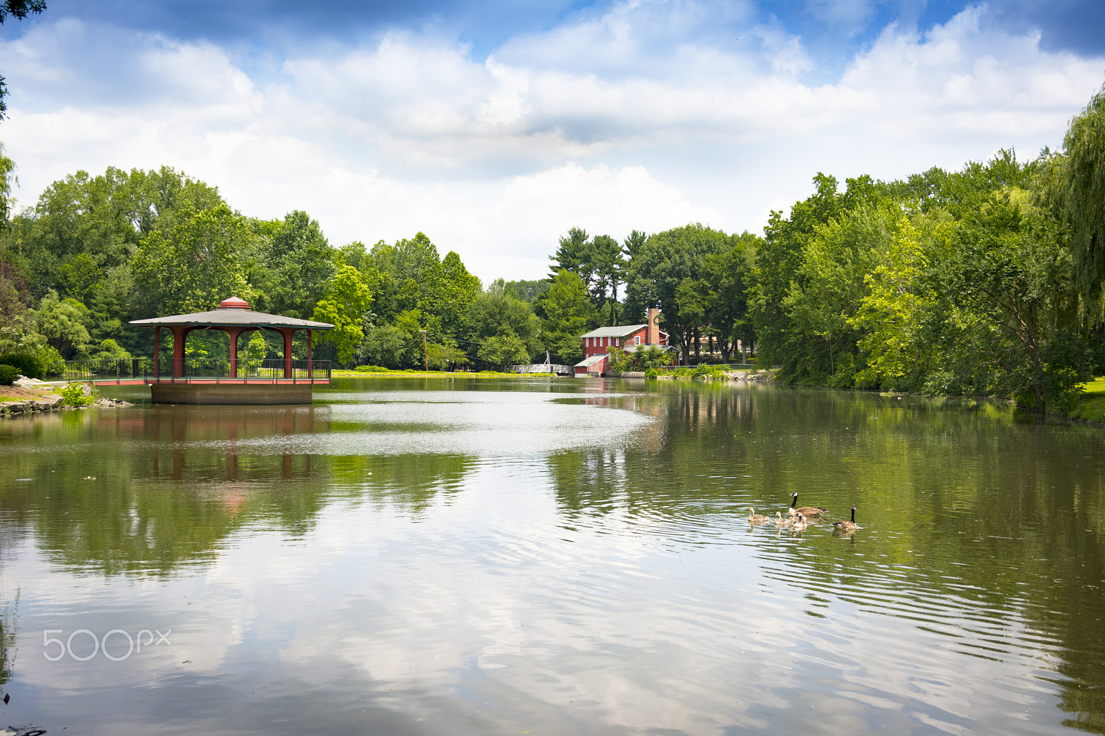 Nikon D5200 + Sigma 18-125mm F3.8-5.6 DC OS HSM sample photo. Cooper's pond photography