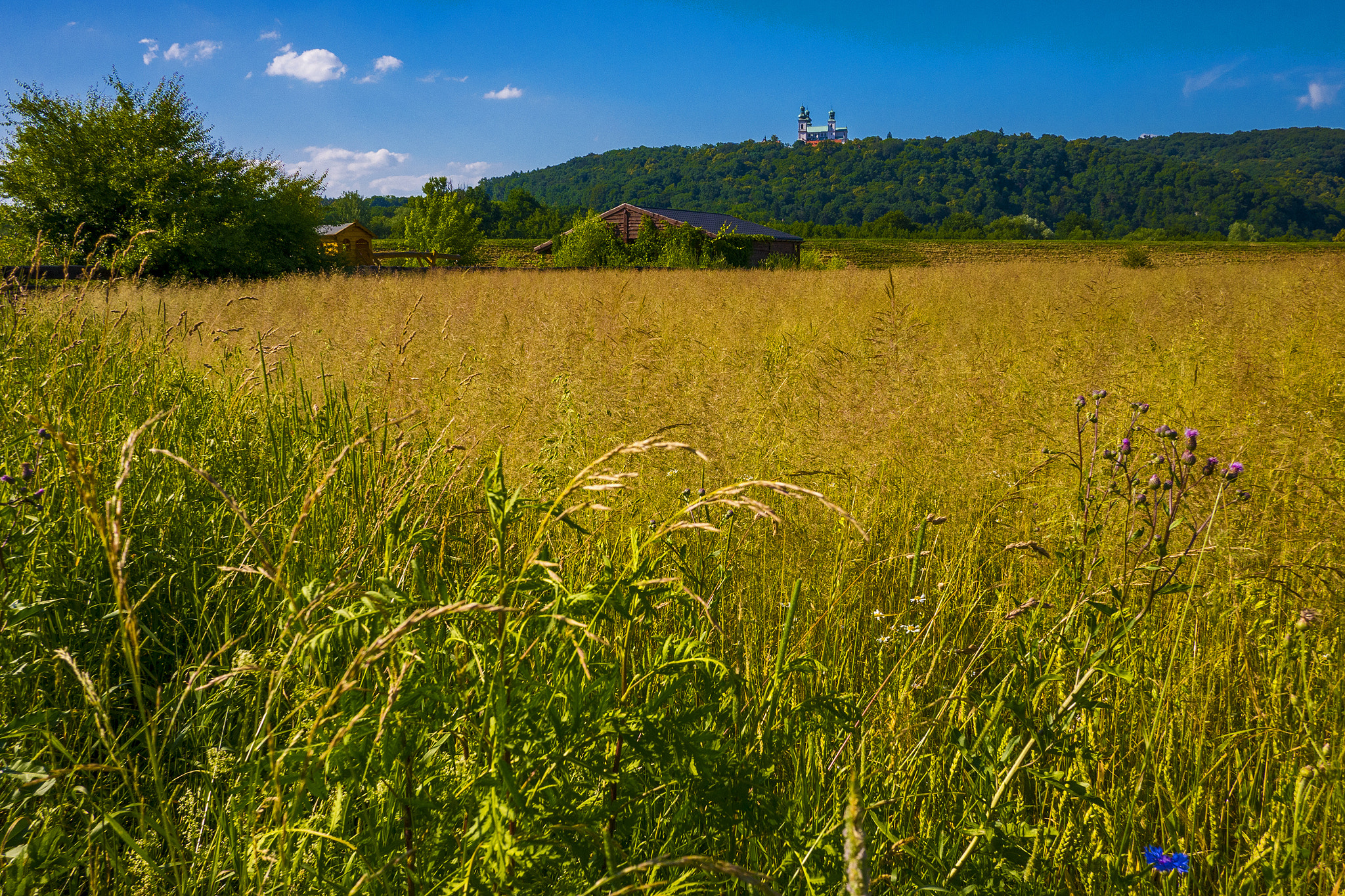 Panasonic Lumix DMC-GX7 + Panasonic Lumix G 14mm F2.5 ASPH sample photo. House and monastery photography