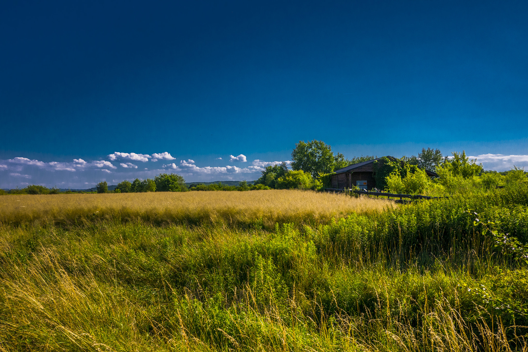 Panasonic Lumix DMC-GX7 + Panasonic Lumix G 14mm F2.5 ASPH sample photo. Barley photography