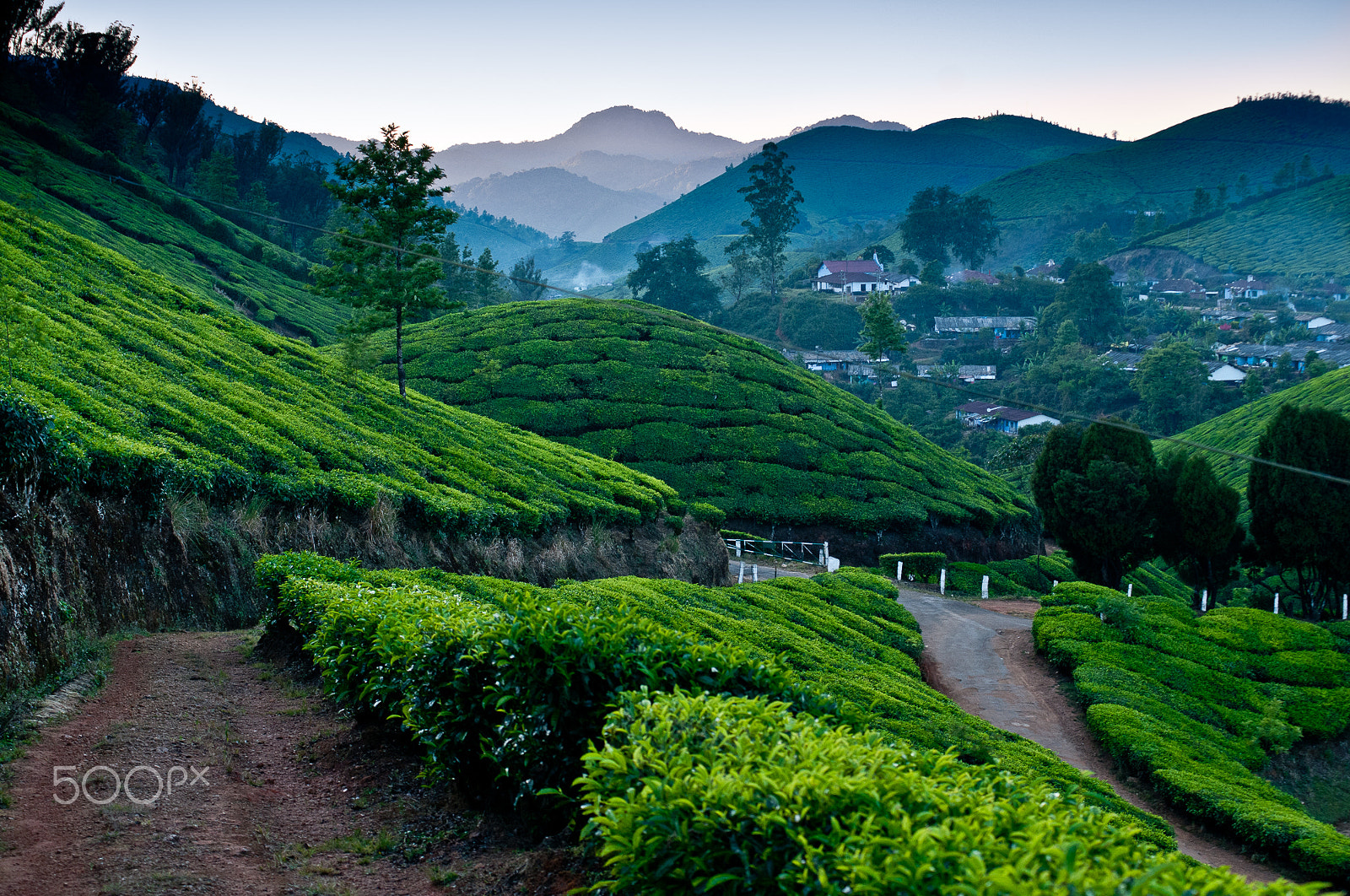 Sigma 50-150mm F2.8 EX APO DC HSM sample photo. From munnar photography