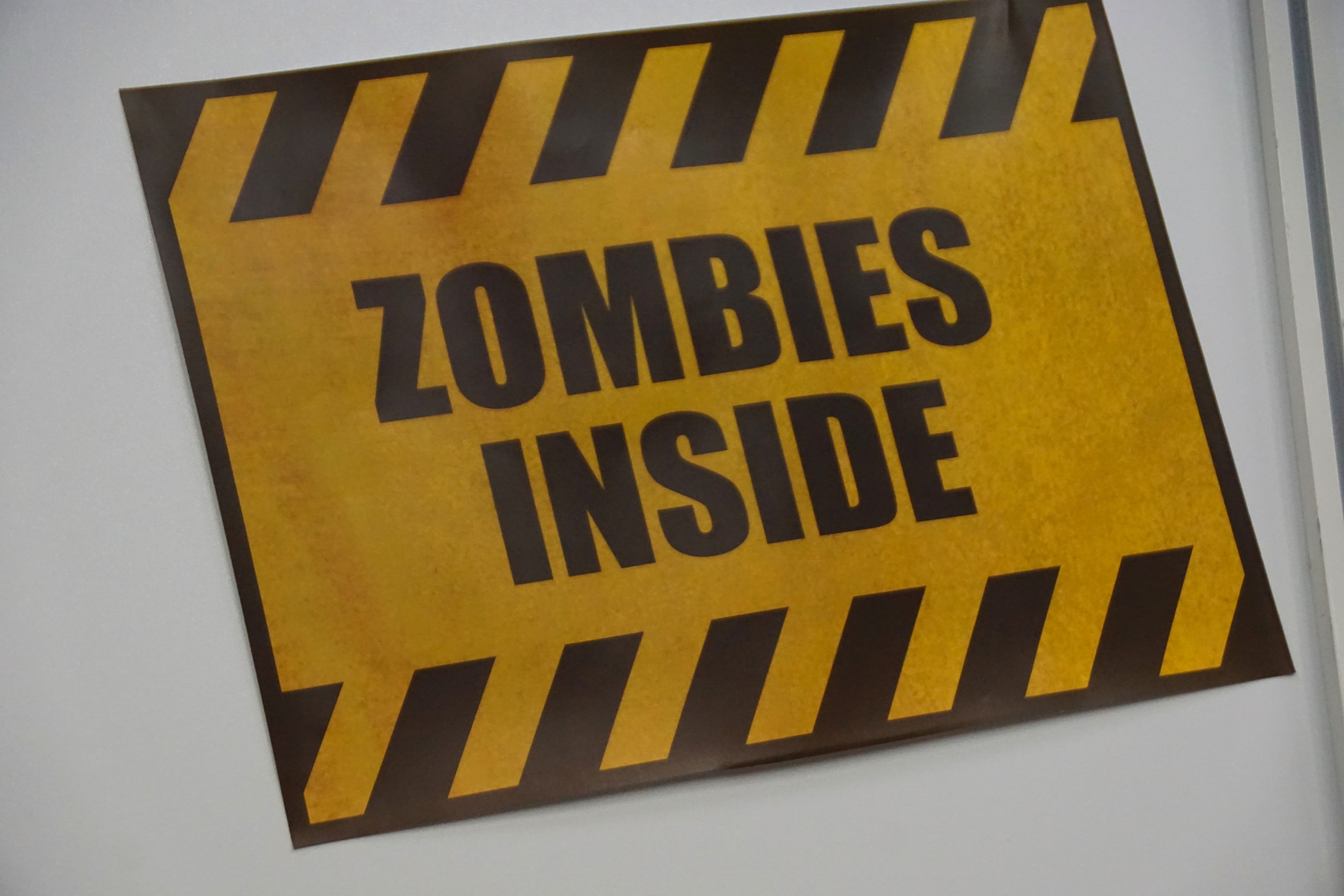 Sony DT 18-250mm F3.5-6.3 sample photo. Zombies inside photography