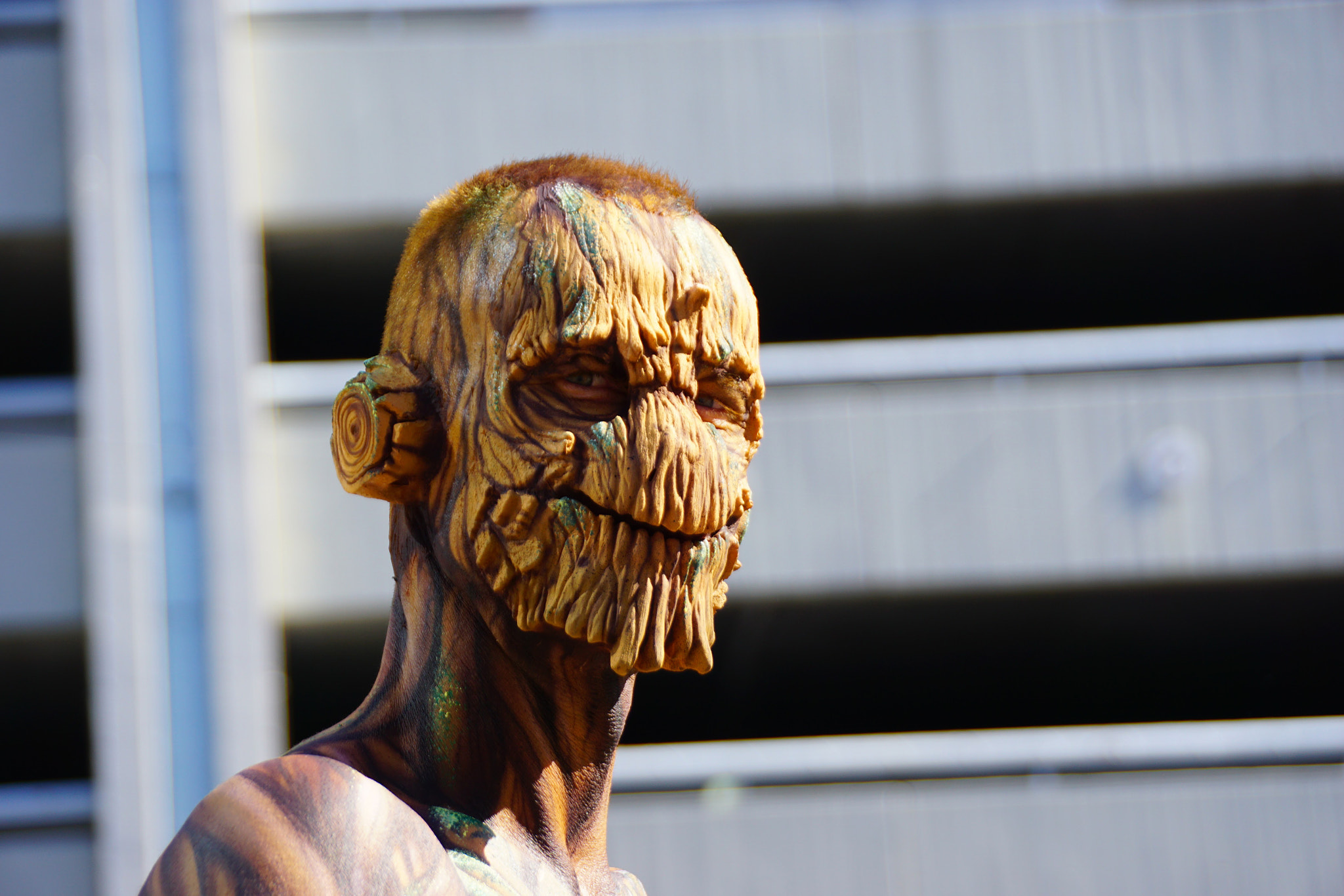 Sony DT 18-250mm F3.5-6.3 sample photo. Groot photography