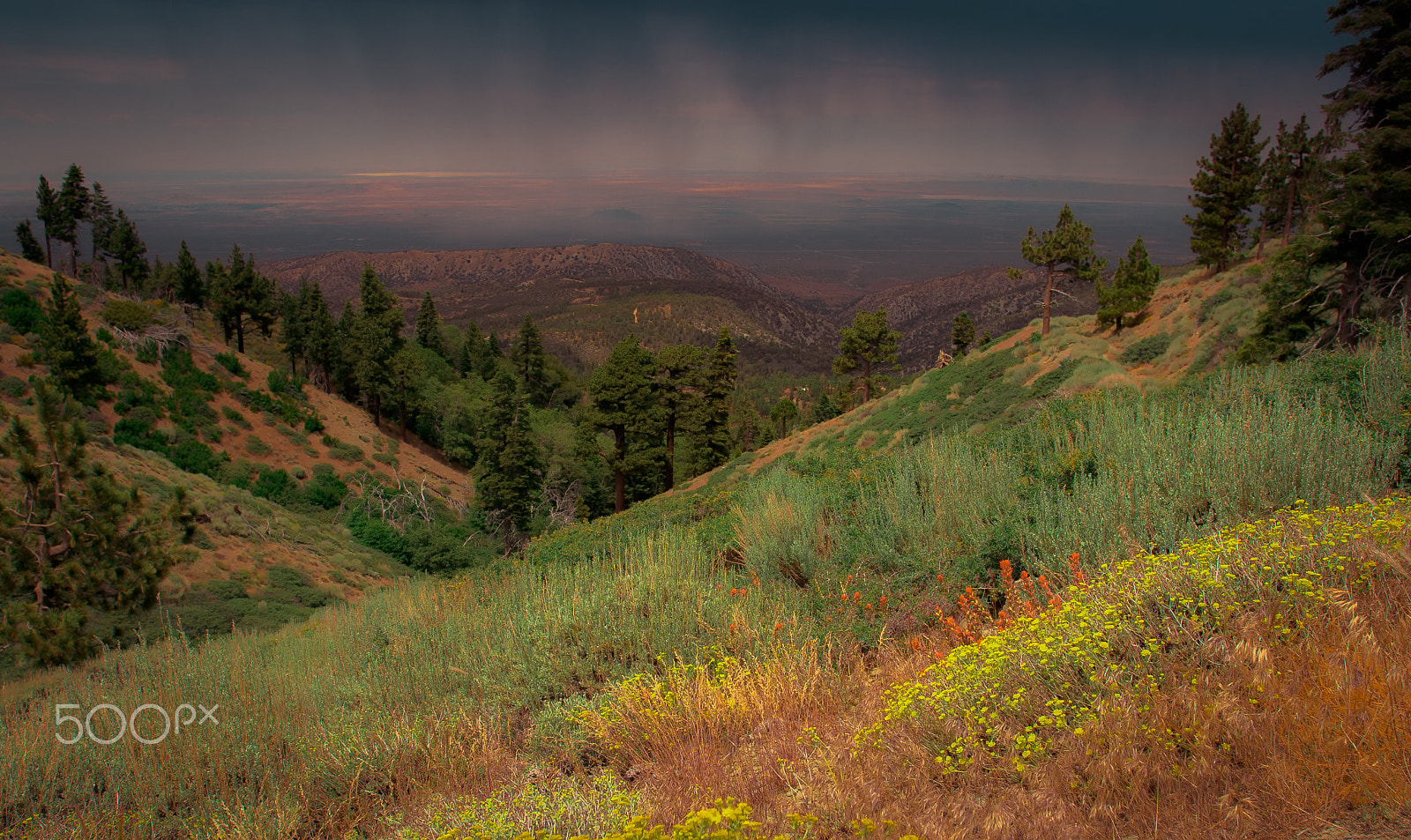Sony DT 50mm F1.8 SAM sample photo. Rain over the desert photography