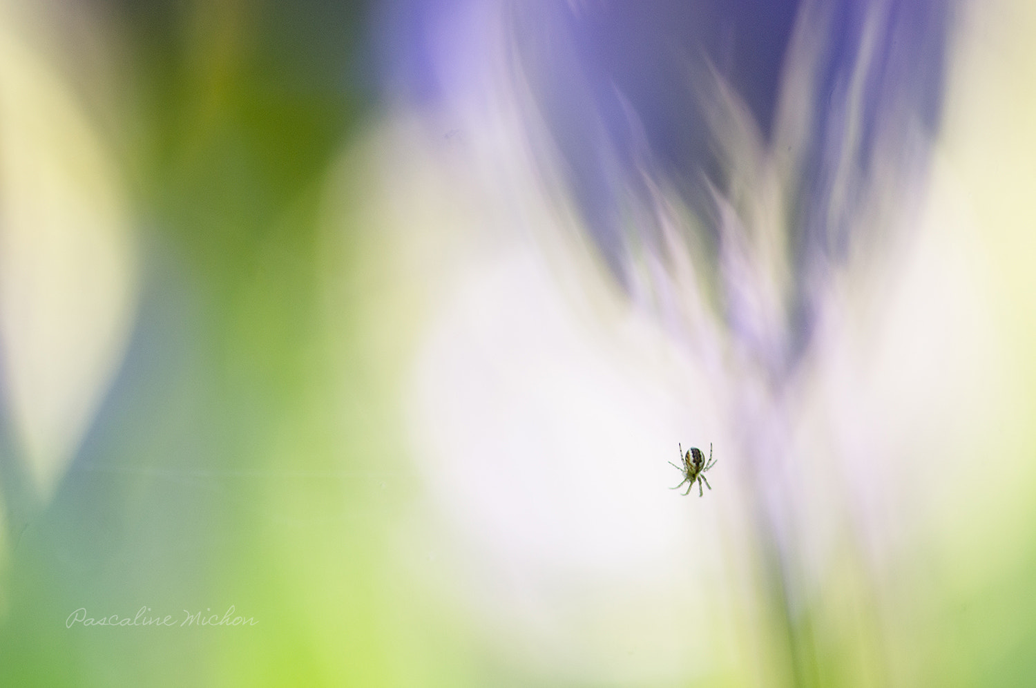 Pentax K-r + Sigma sample photo. Little one photography