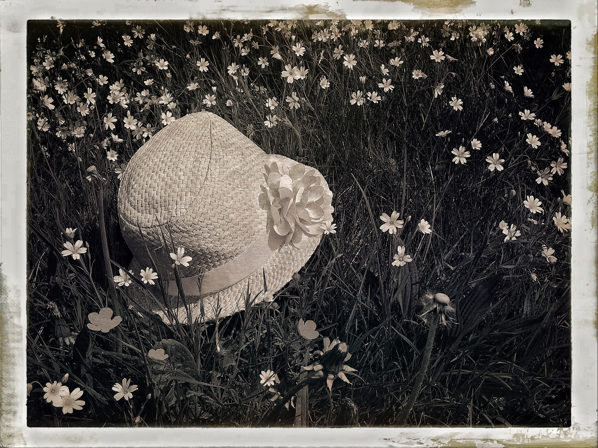 Hipstamatic 313 sample photo. Summer feeling photography