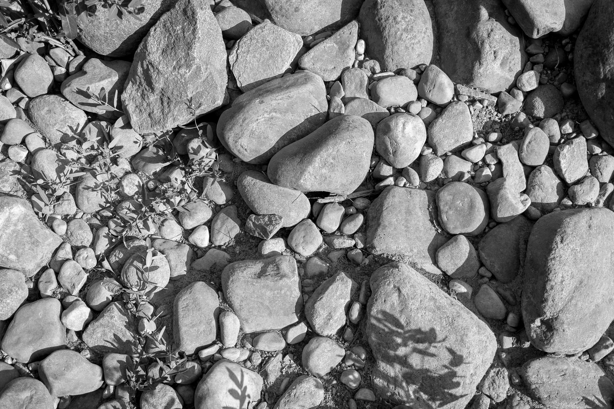 Canon EOS 100D (EOS Rebel SL1 / EOS Kiss X7) sample photo. Adirondack mountains | wilmington | new york photography