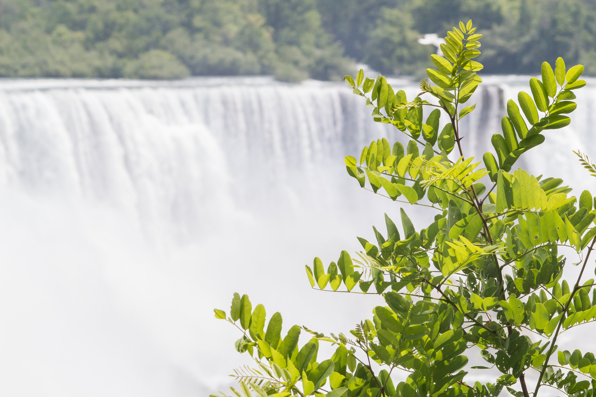 Canon EOS 100D (EOS Rebel SL1 / EOS Kiss X7) sample photo. Niagara falls | ontario photography