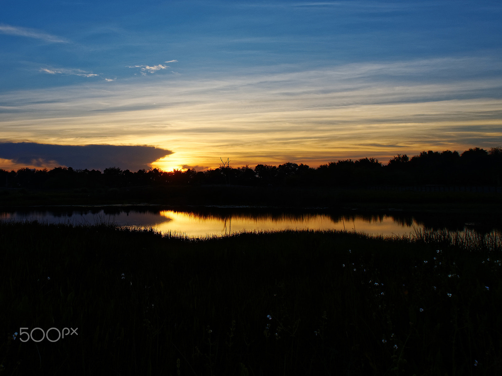 Olympus OM-D E-M10 sample photo. Sunrise over water florida wetlands photography